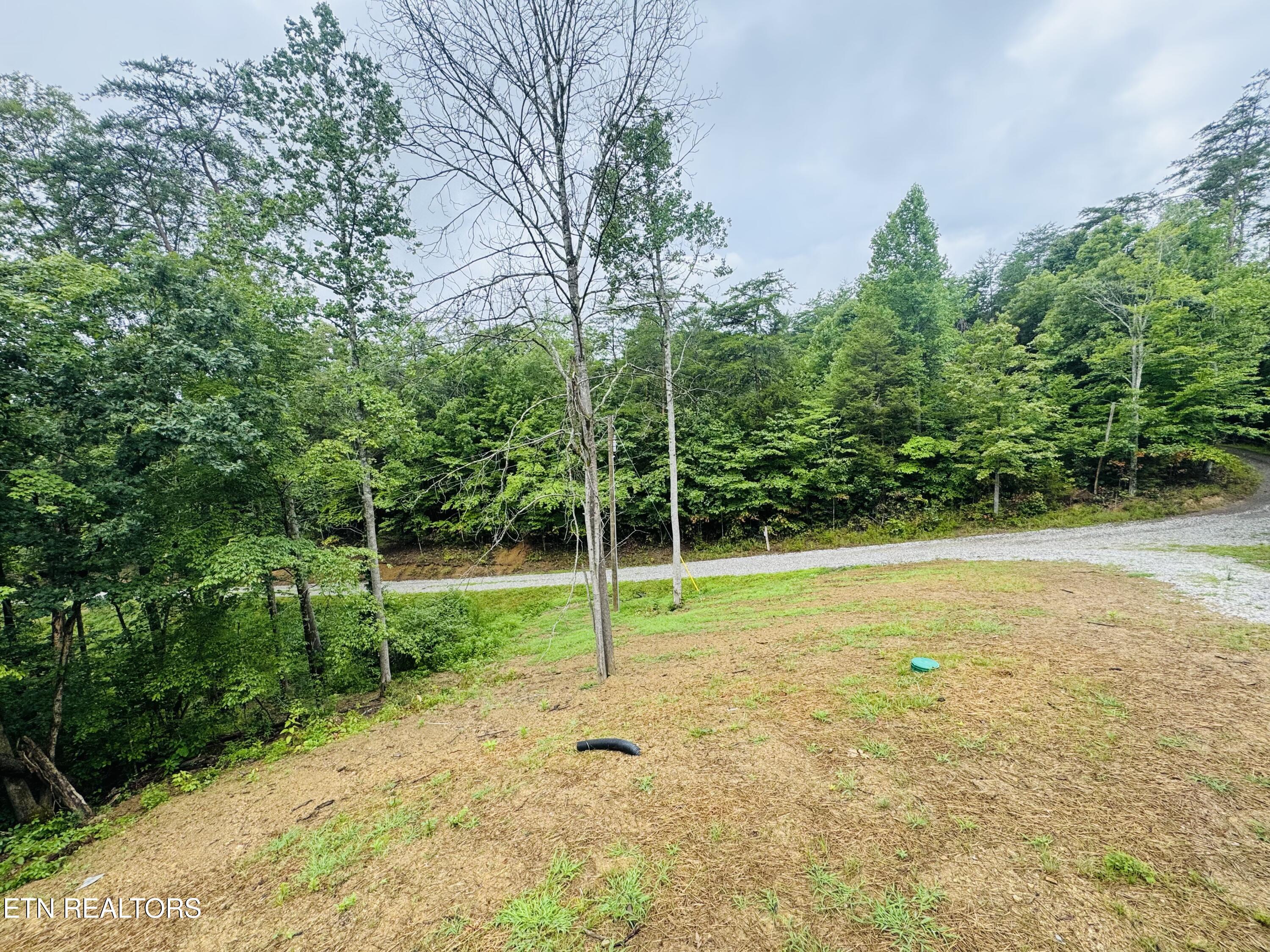 2808 Hwy 61 W Andersonville TN 37705