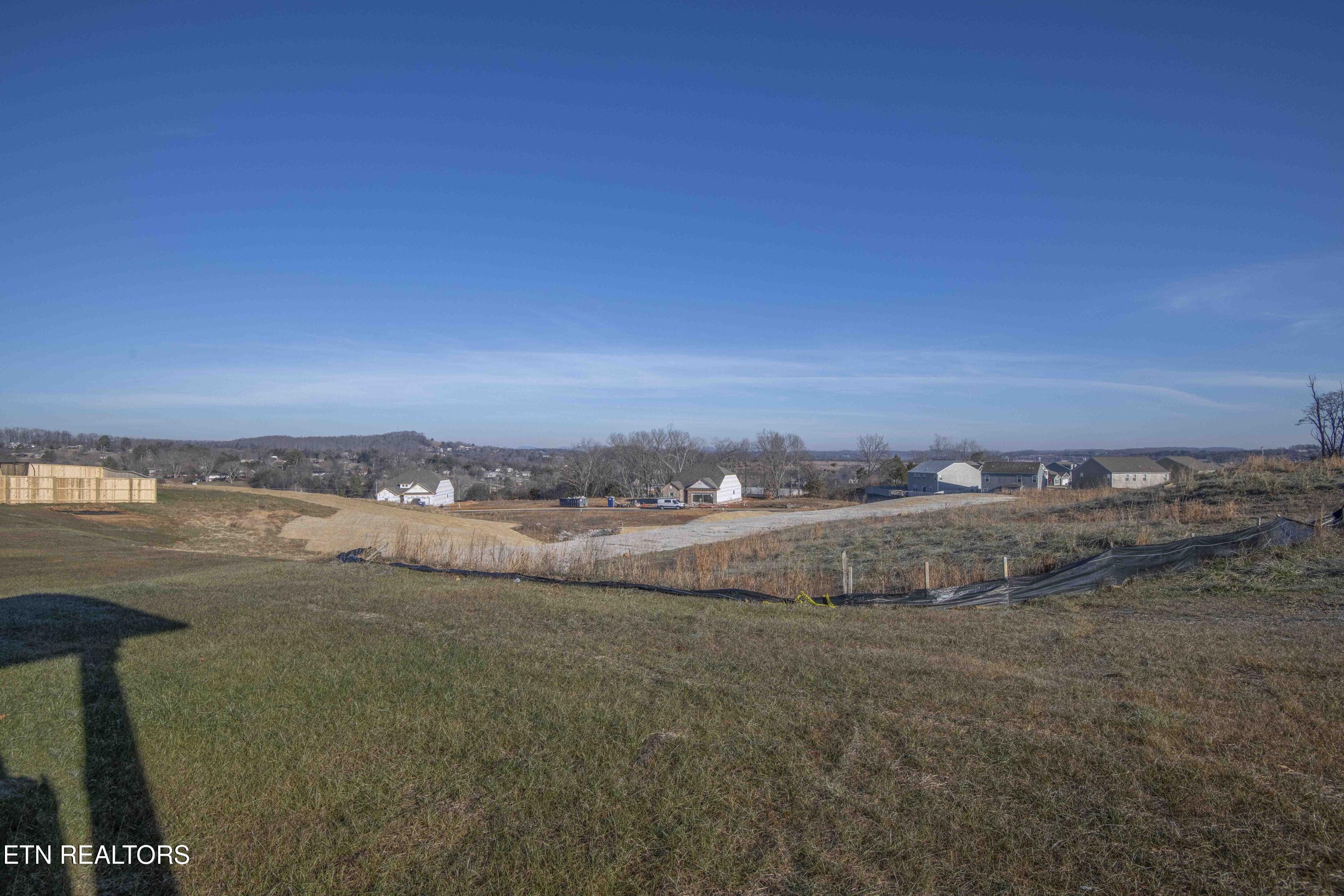 142 Thuja Tree Lane (Lot 126) Lenoir City TN 37771