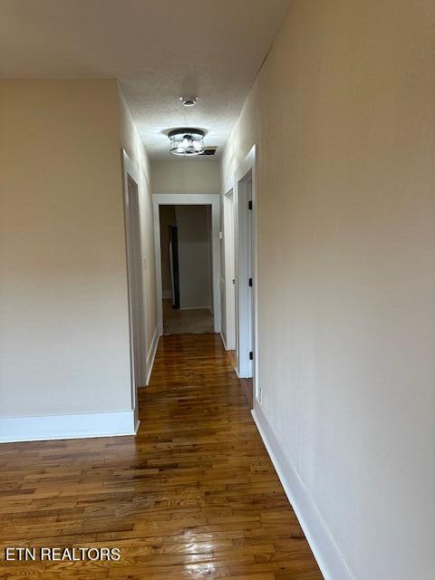1920 Wheeler Street Knoxville TN 37917