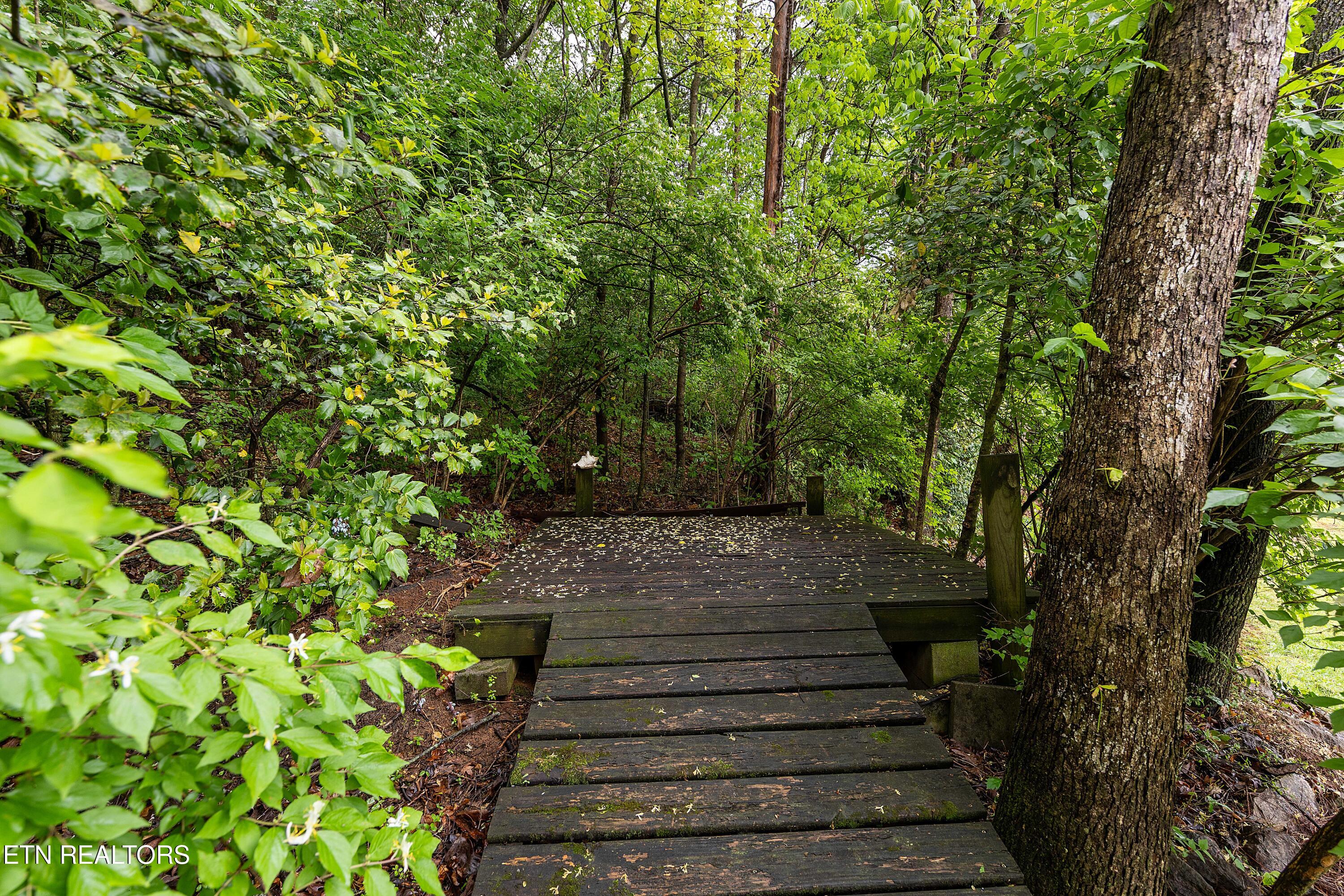 8707 Brucewood Lane Knoxville TN 37923