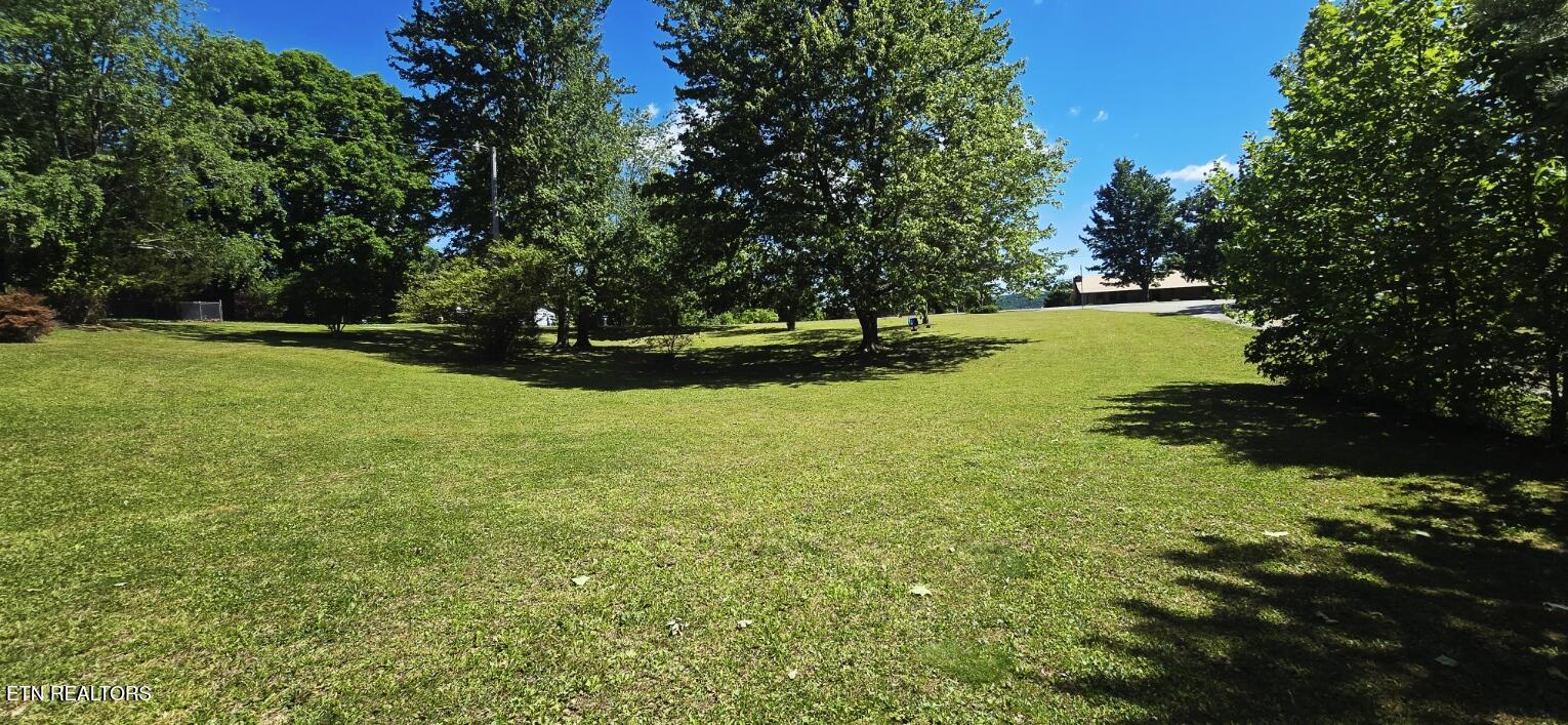 296 Massey Lane Pioneer TN 37847