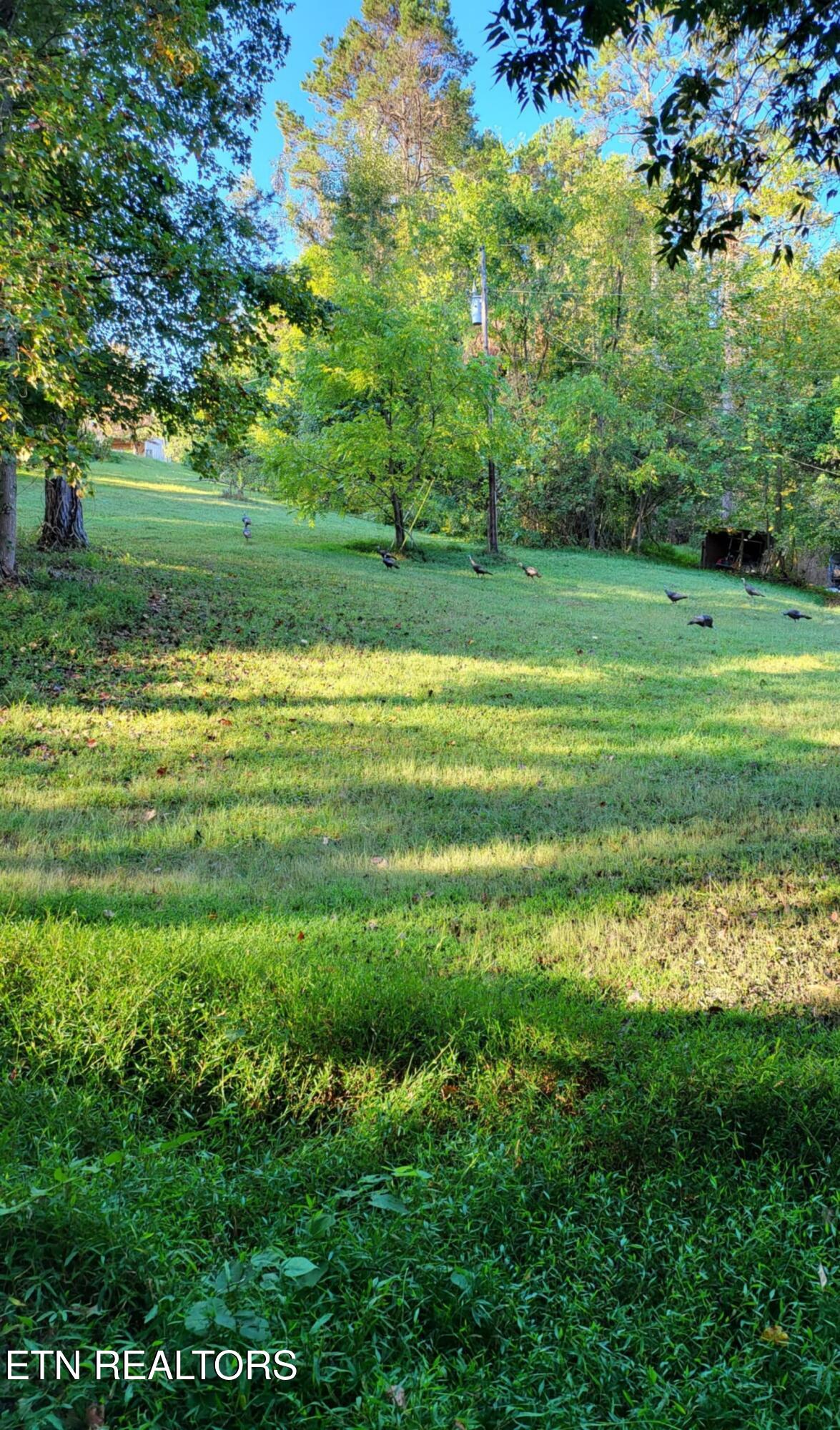 2143 Everett Road Knoxville TN 37932