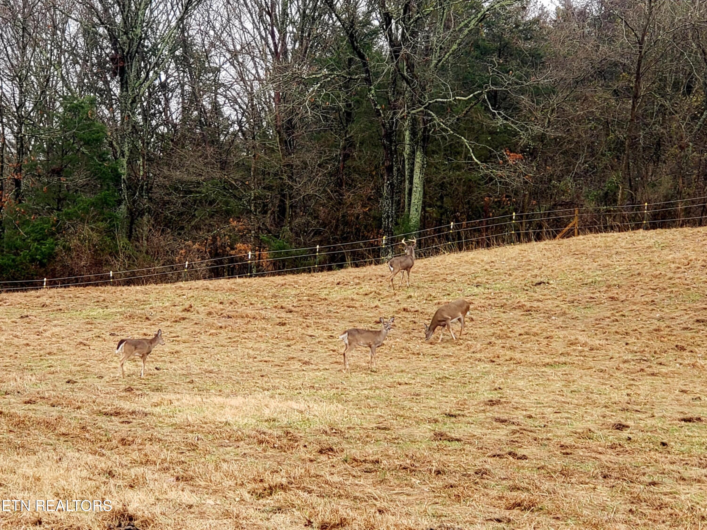 2143 Everett Road Knoxville TN 37932