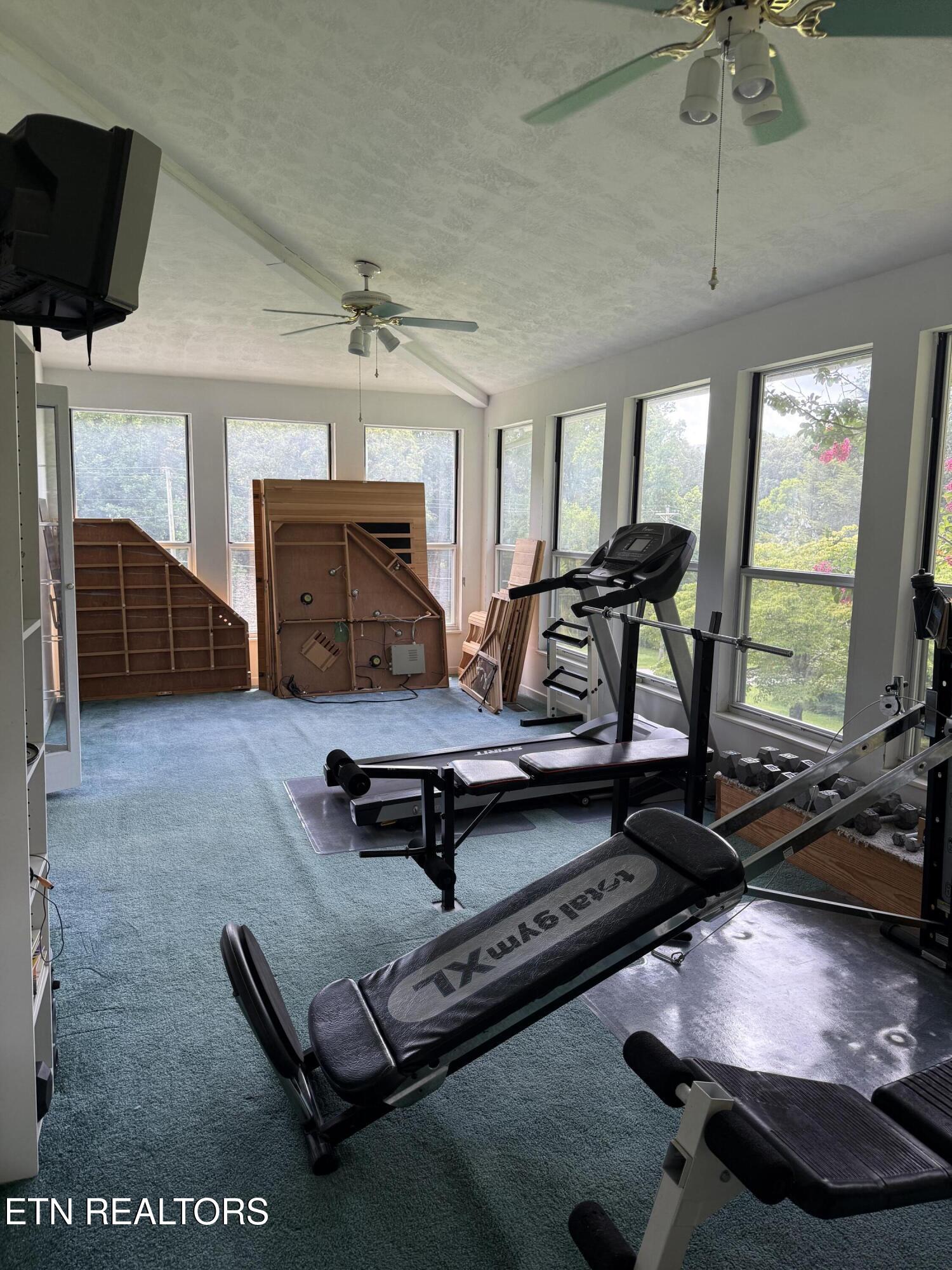 414 Molyneux Street Rockwood TN 37854