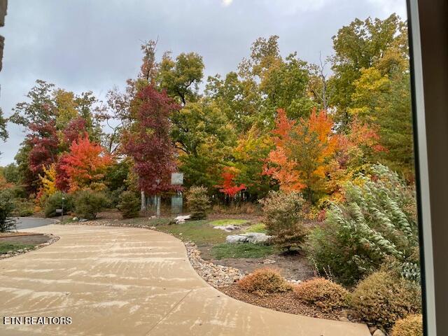 61 Bluff View Court Crossville TN 38558