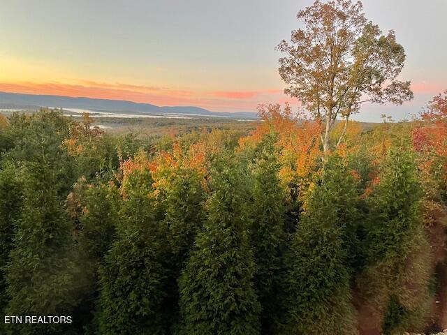 61 Bluff View Court Crossville TN 38558