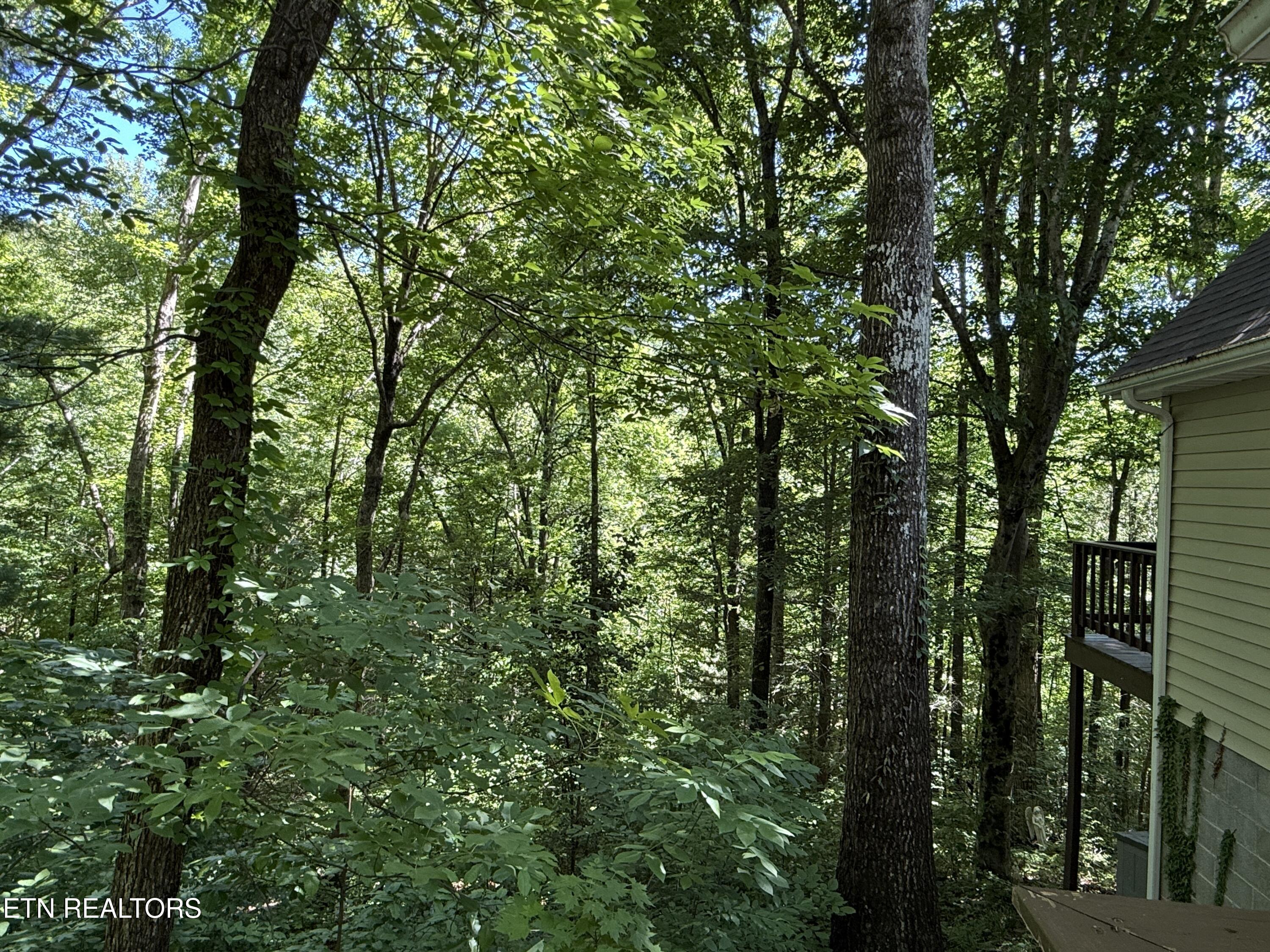 4039 Barb Hollow Road Walland TN 37886