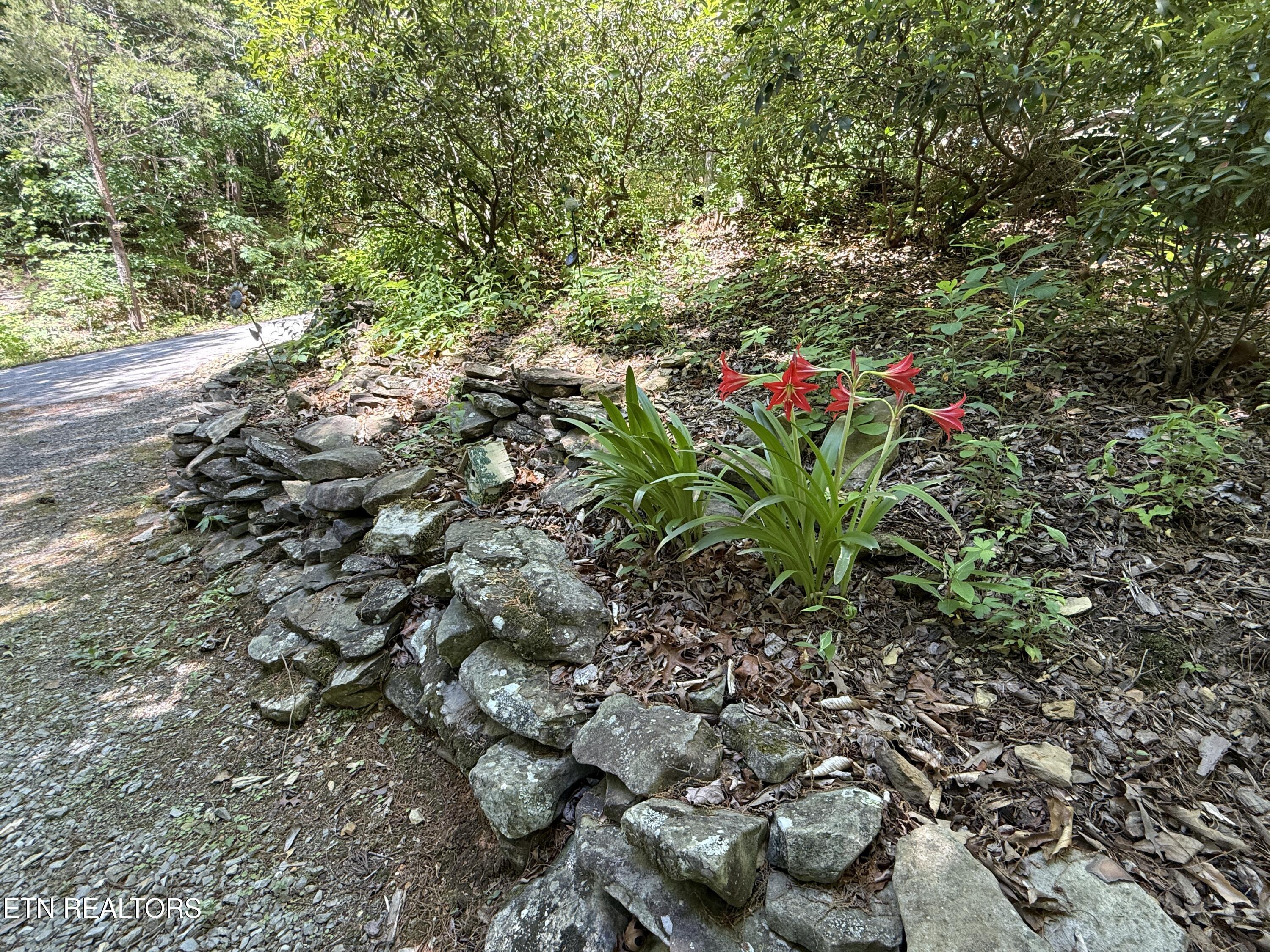 4039 Barb Hollow Road Walland TN 37886