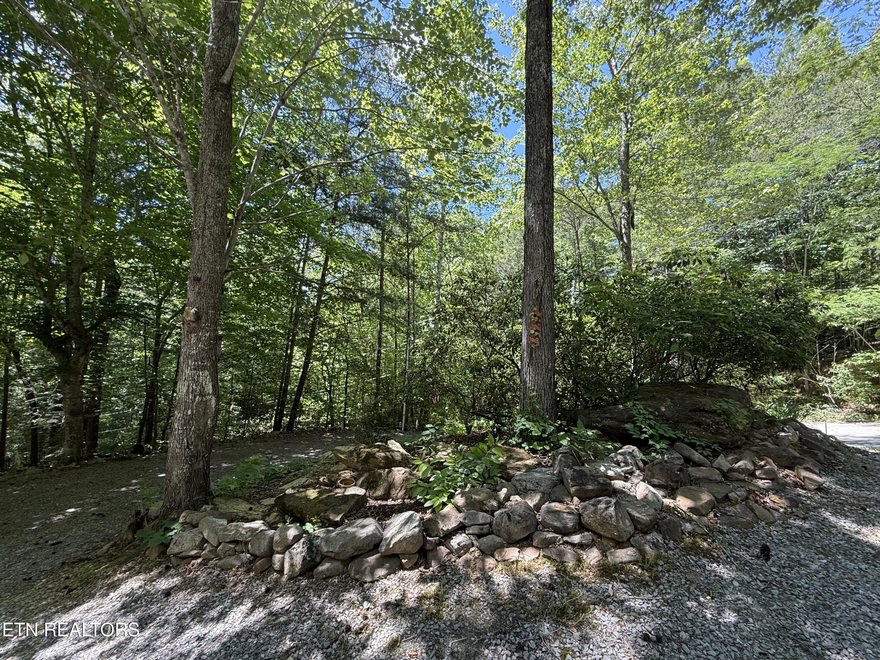 4039 Barb Hollow Road Walland TN 37886