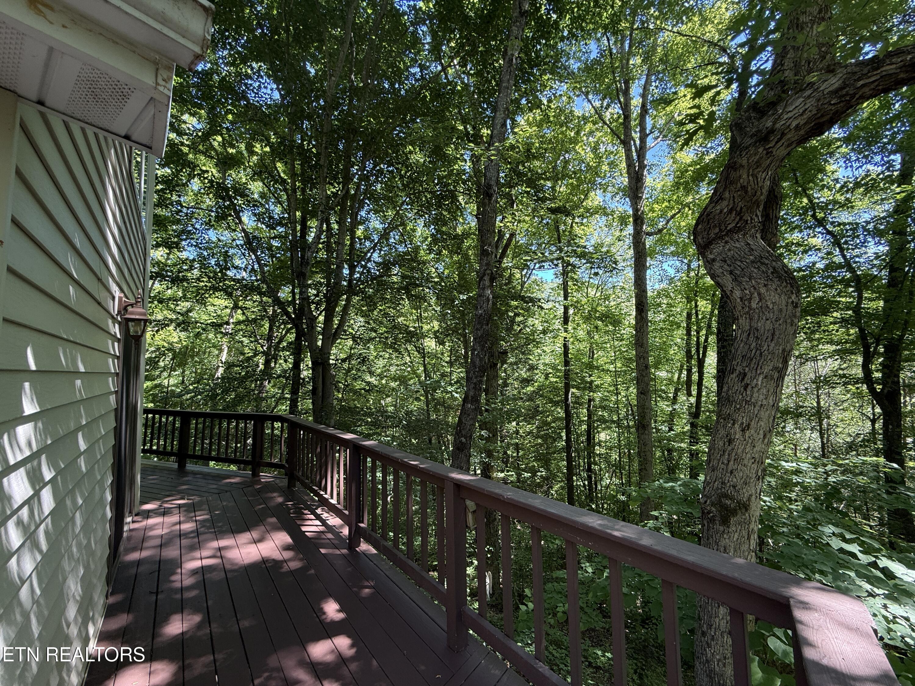 4039 Barb Hollow Road Walland TN 37886