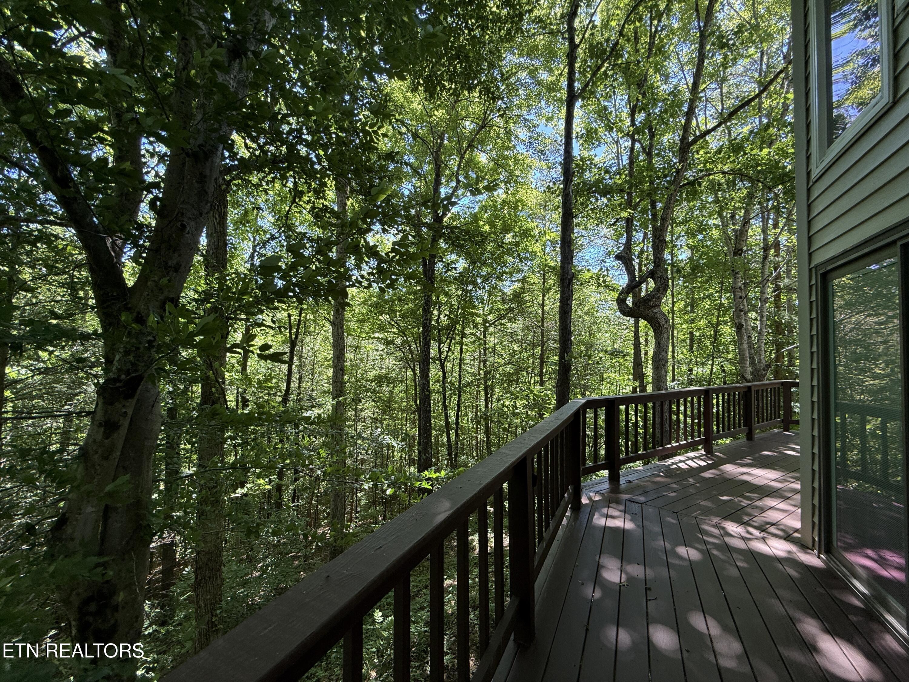 4039 Barb Hollow Road Walland TN 37886