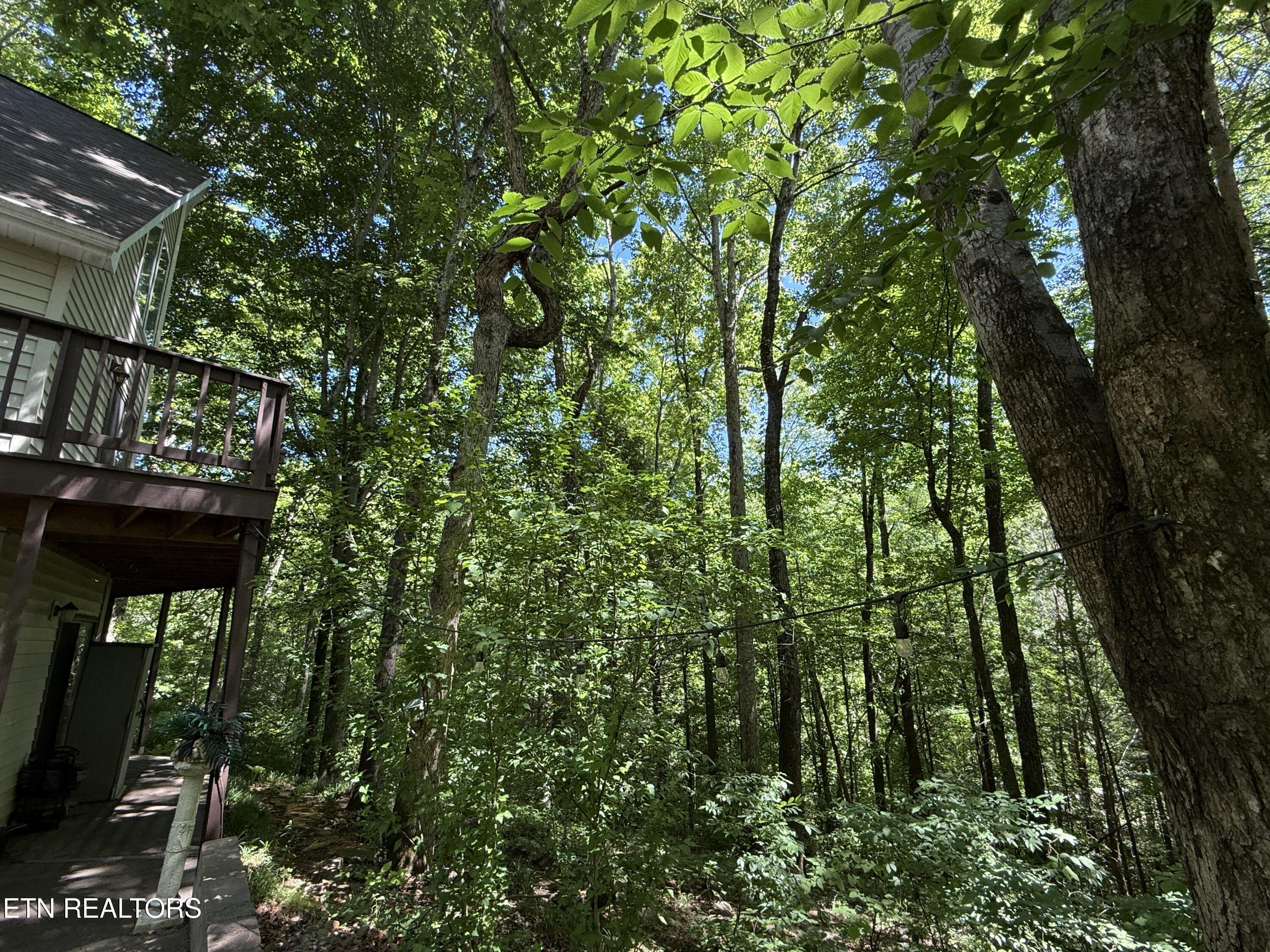 4039 Barb Hollow Road Walland TN 37886