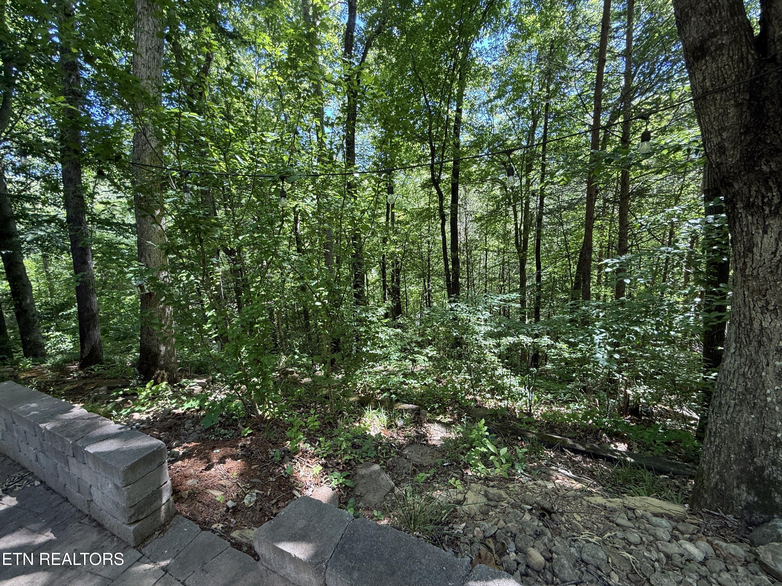 4039 Barb Hollow Road Walland TN 37886