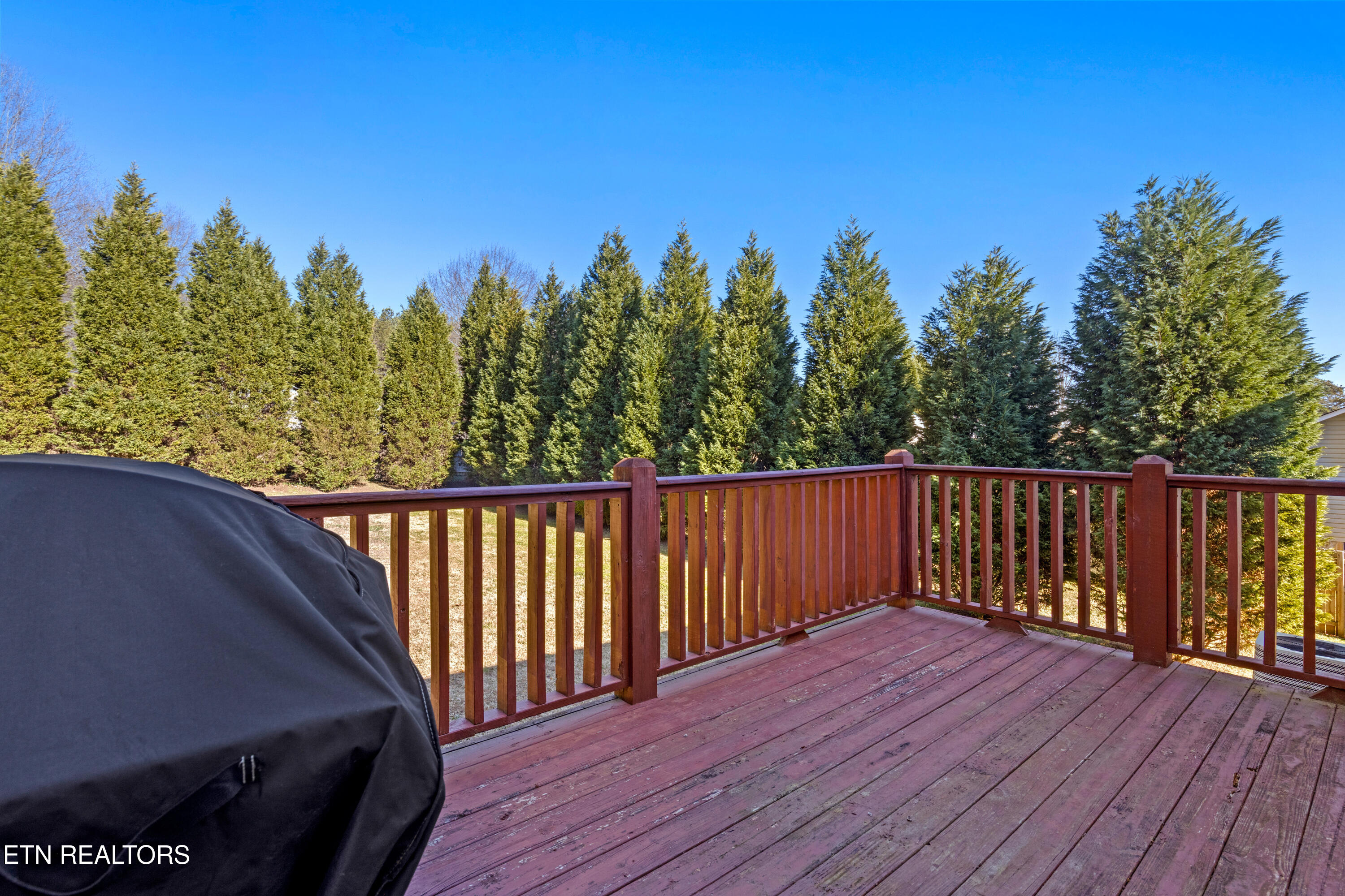 155 Dogwood Lane Spring City TN 37381
