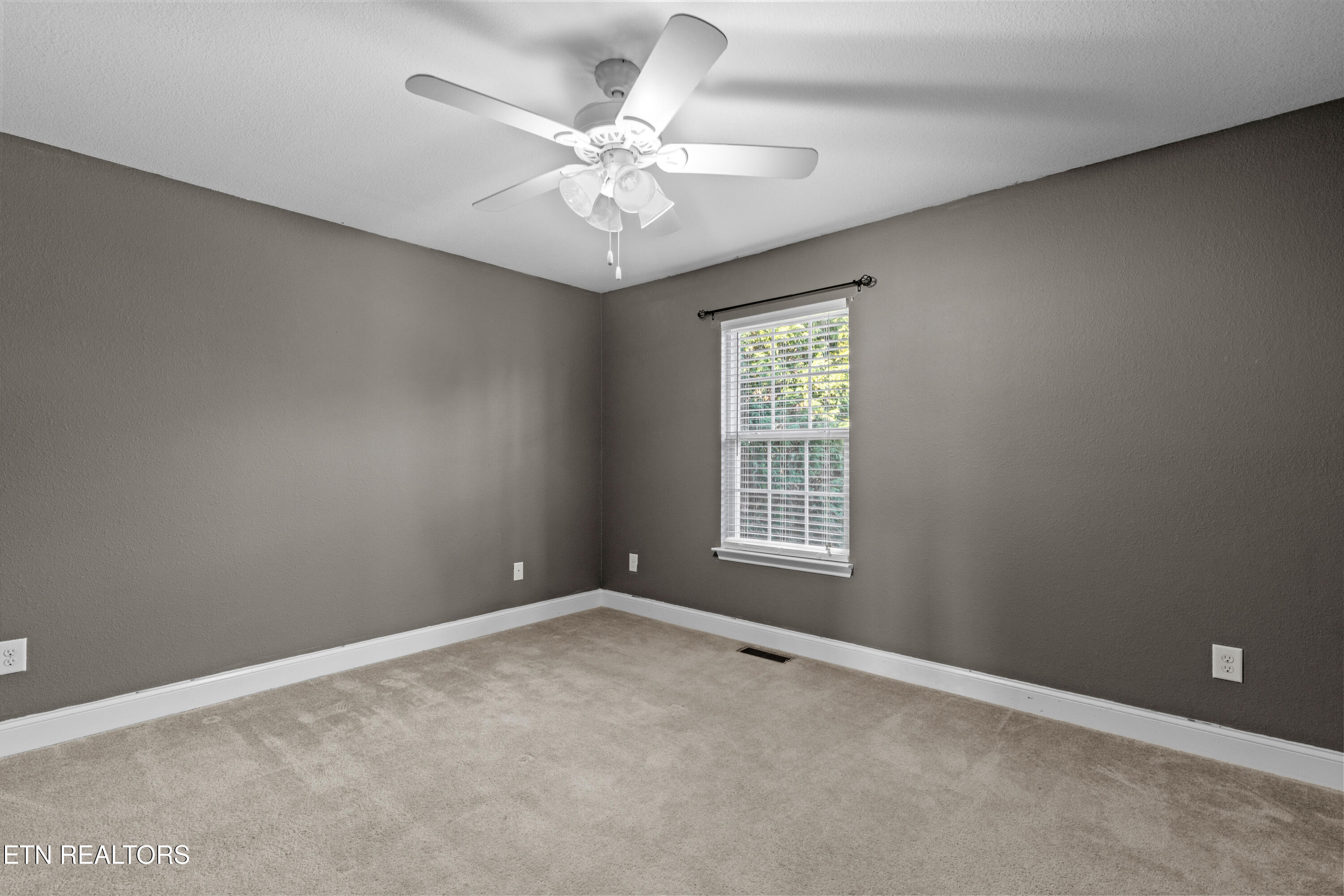 155 Dogwood Lane Spring City TN 37381