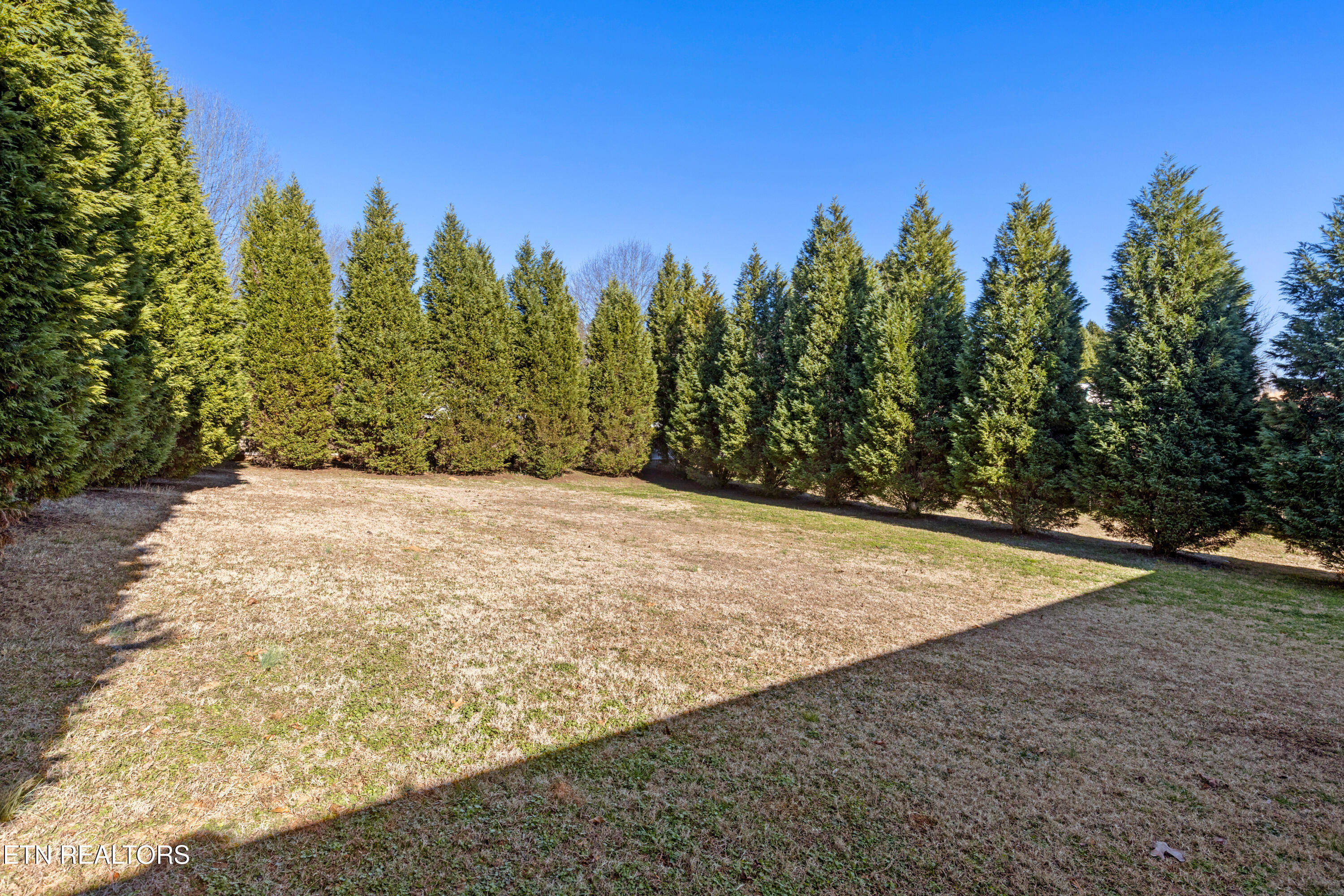 155 Dogwood Lane Spring City TN 37381