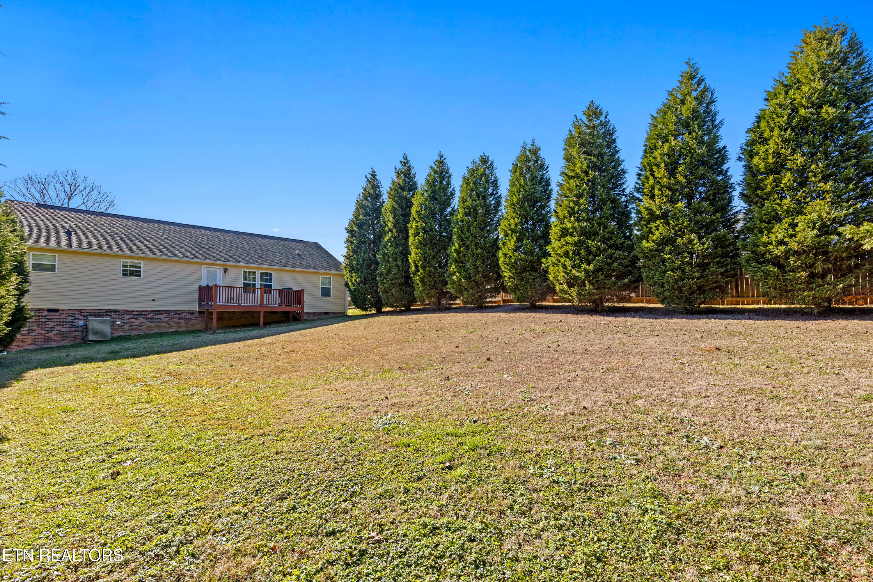 155 Dogwood Lane Spring City TN 37381