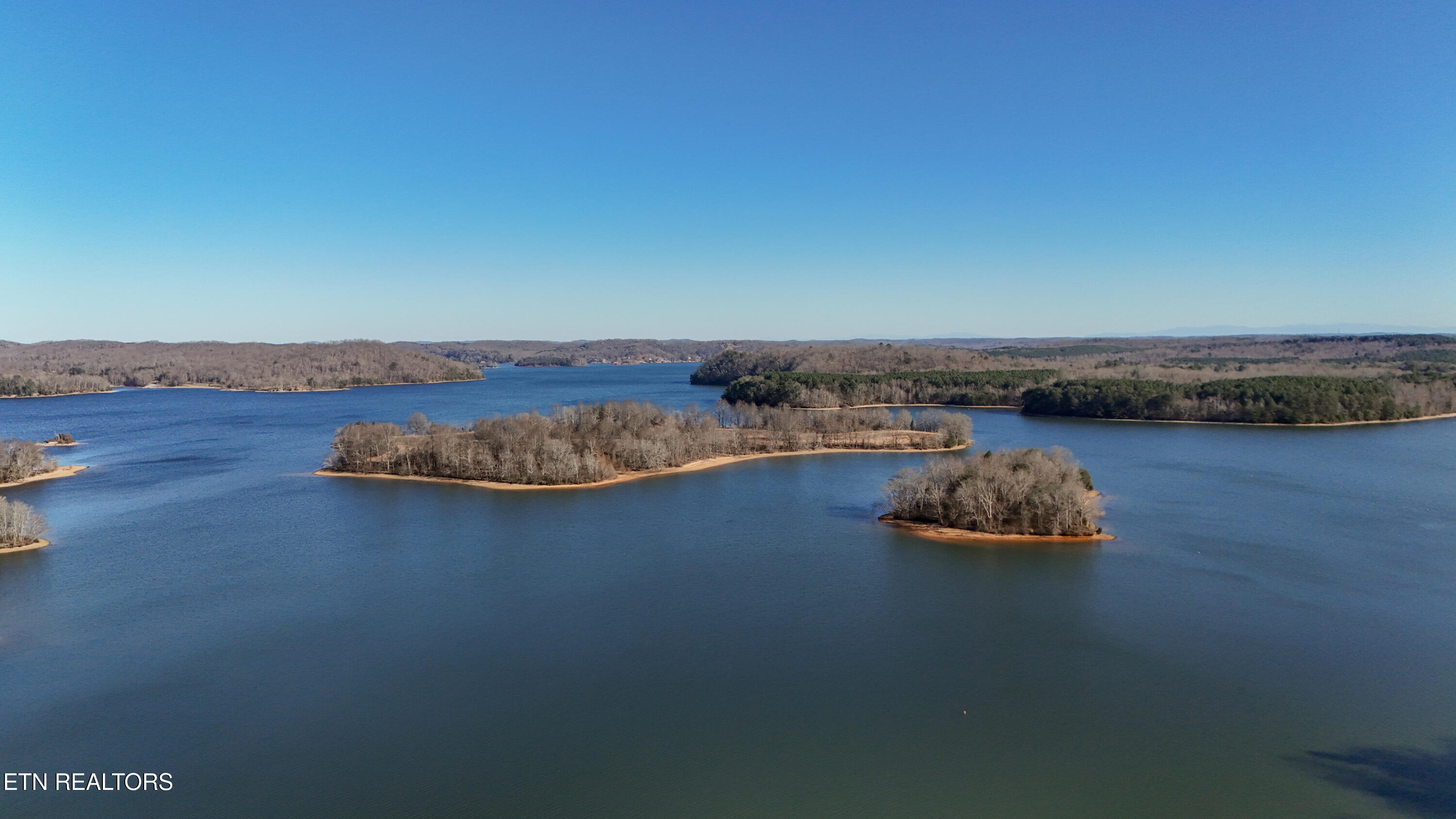 155 Dogwood Lane Spring City TN 37381
