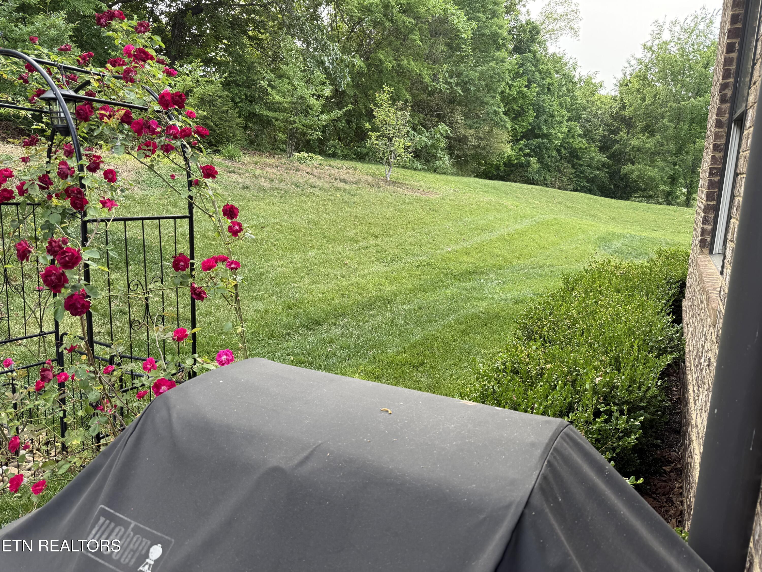 12533 Daisy Field Lane Farragut TN 37934