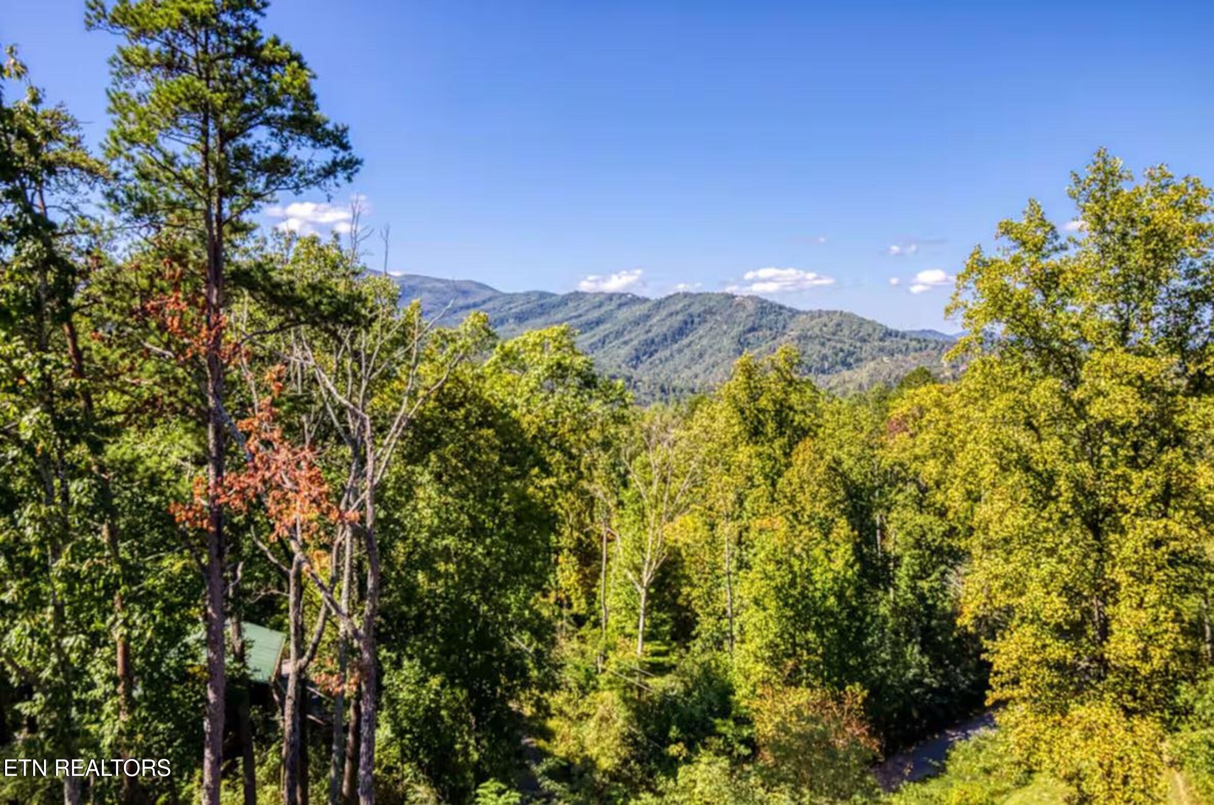 622 Timber Ridge Road Gatlinburg TN 37738