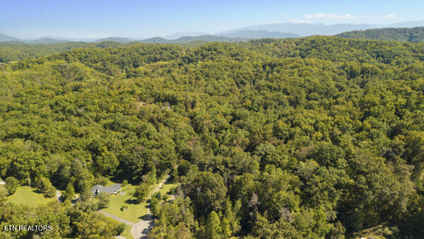 1047 Boardly Hills Boulevard Sevierville TN 37876