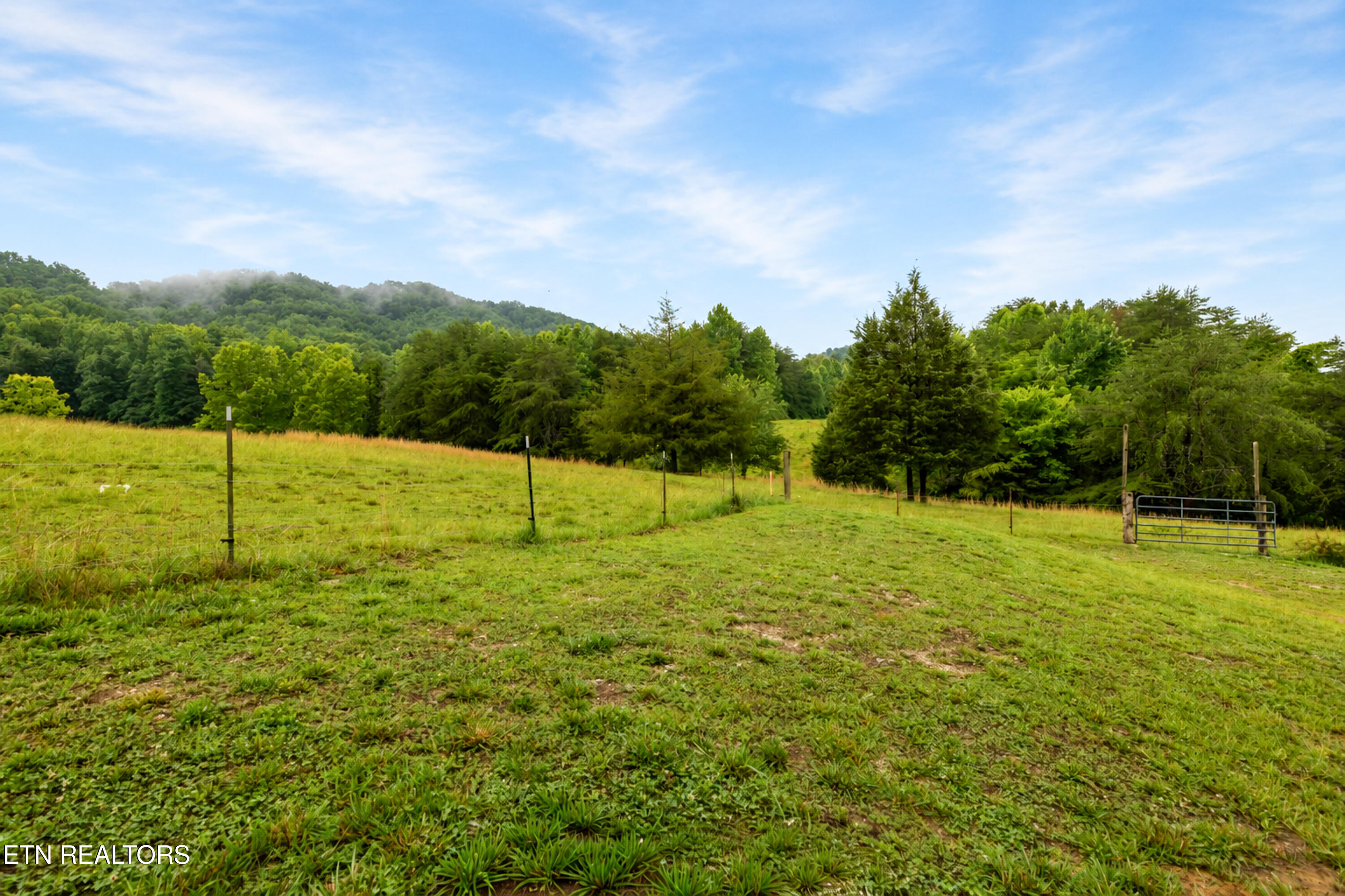 415 Meadow View Drive Maynardville TN 37807