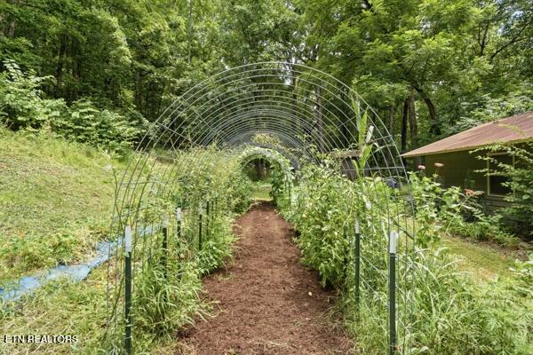 1731 Vonore Road Loudon TN 37774