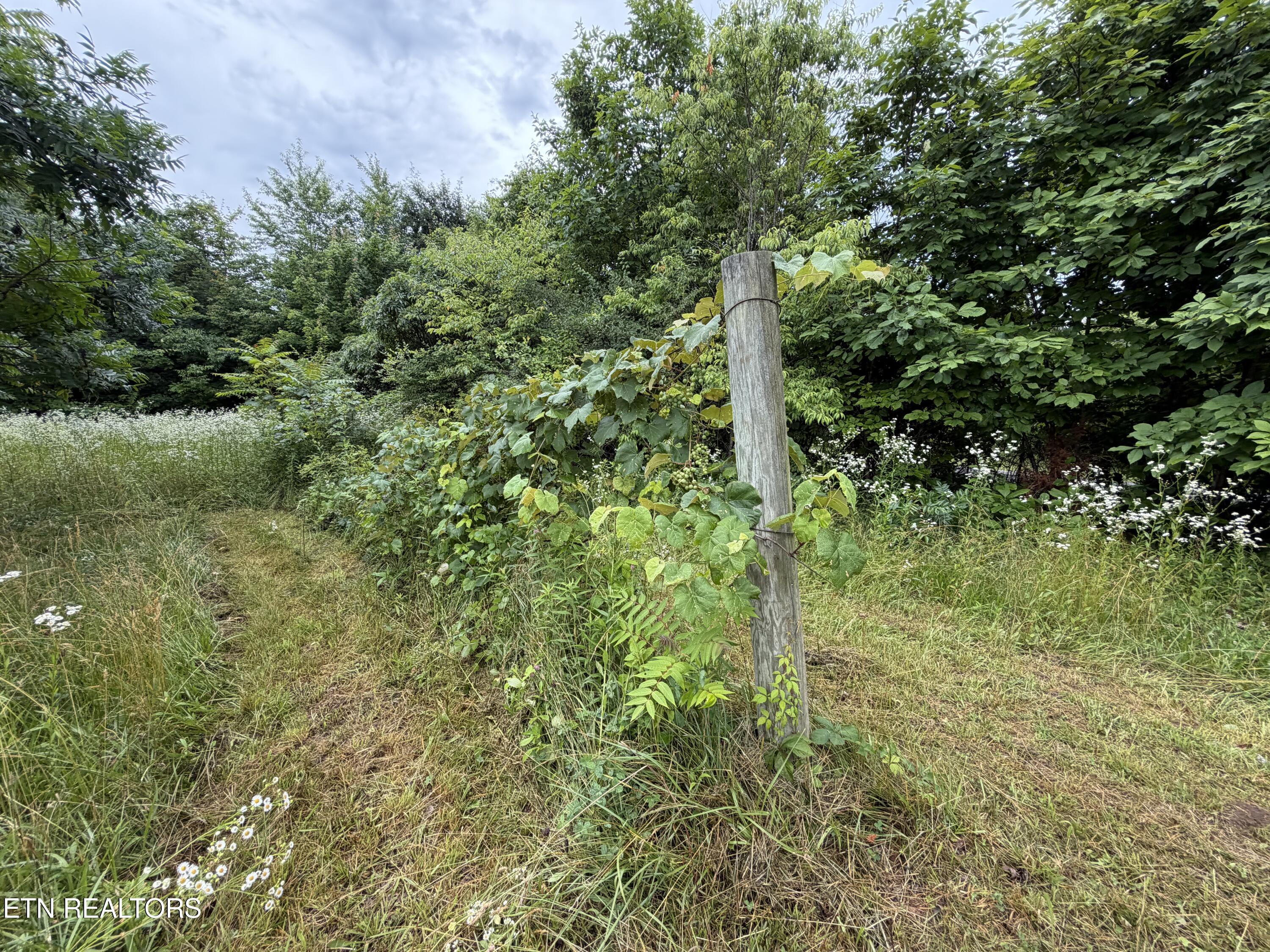 64 Coppett Road Crossville TN 38572