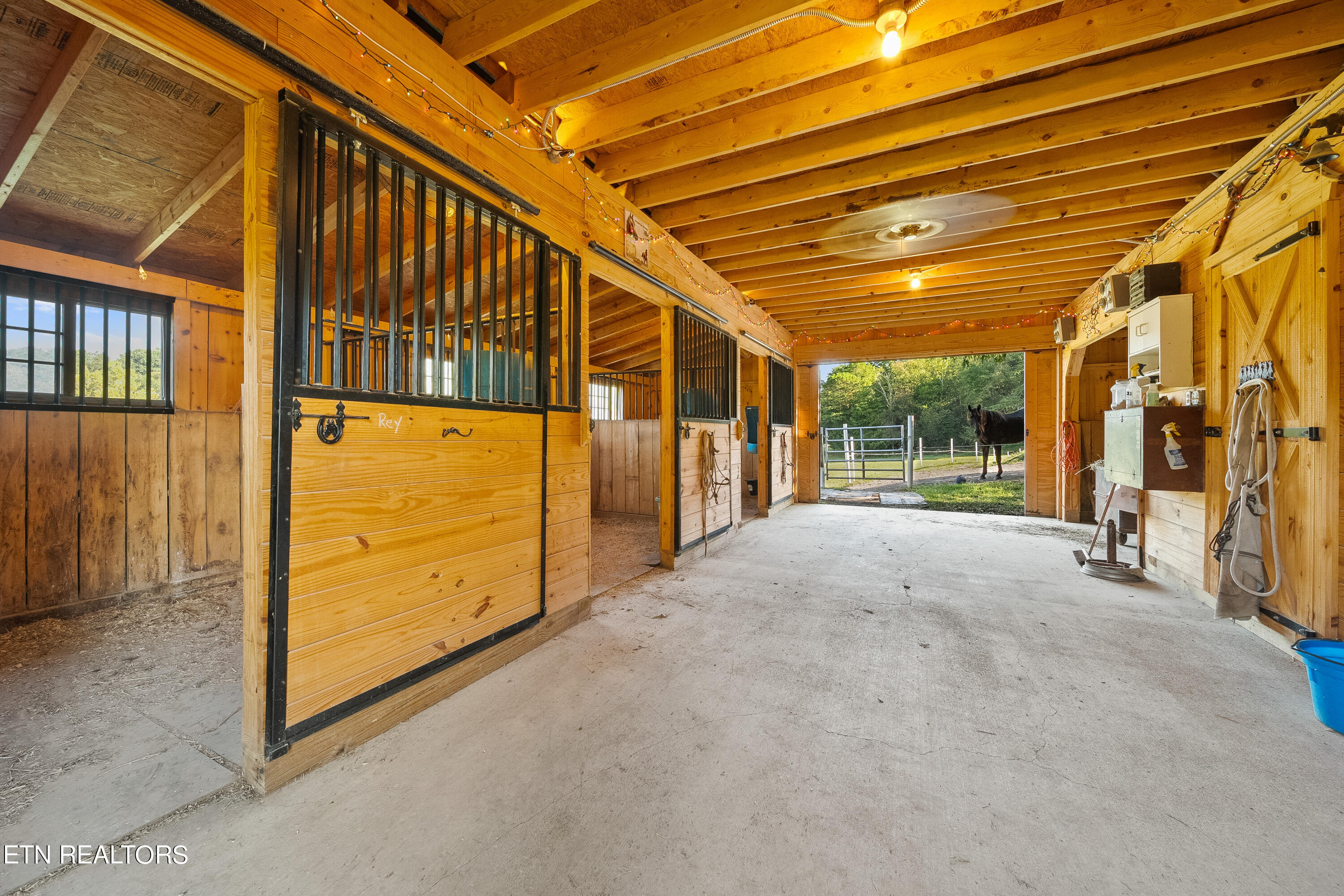 507 Brandi Lane Blaine TN 37709