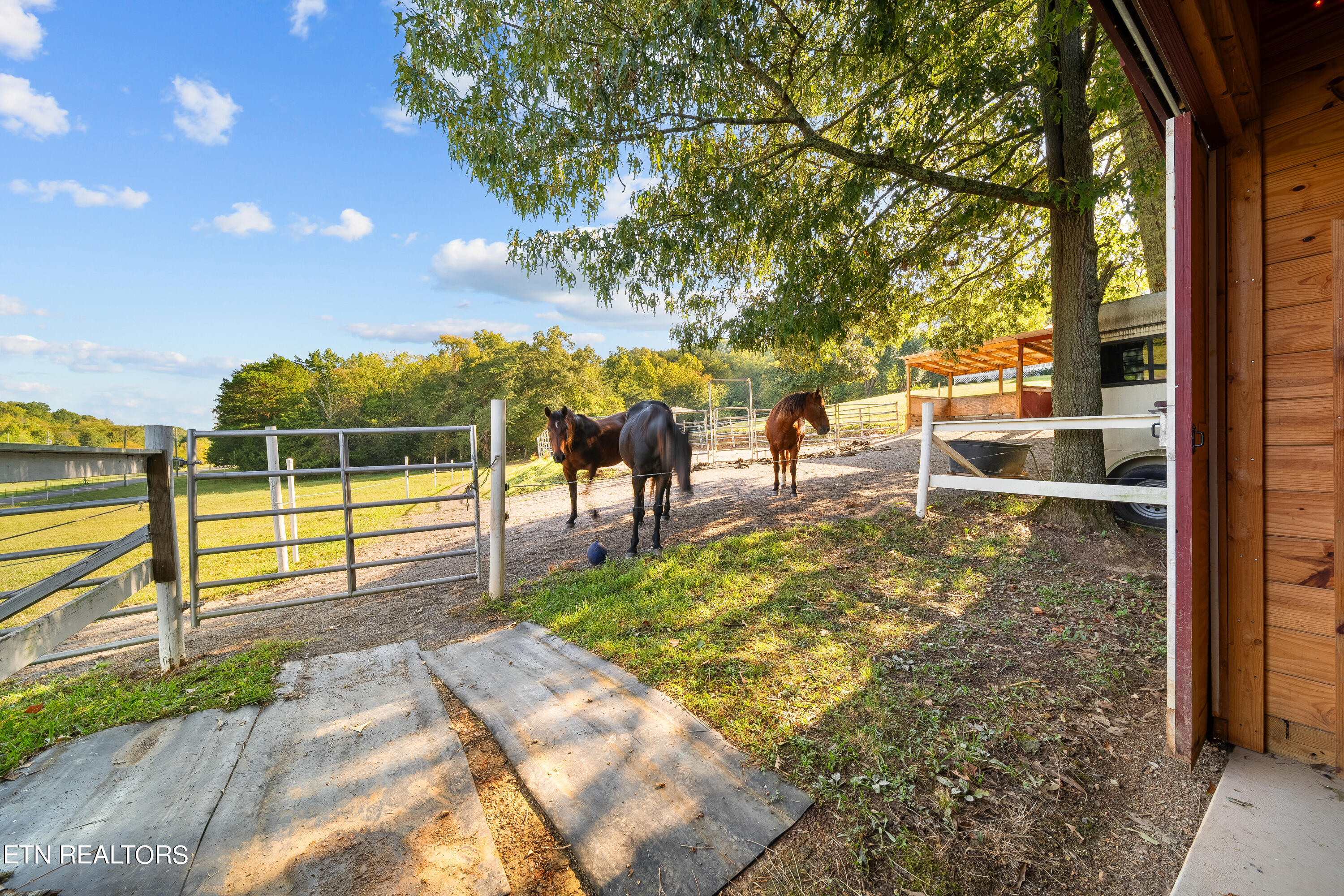 507 Brandi Lane Blaine TN 37709