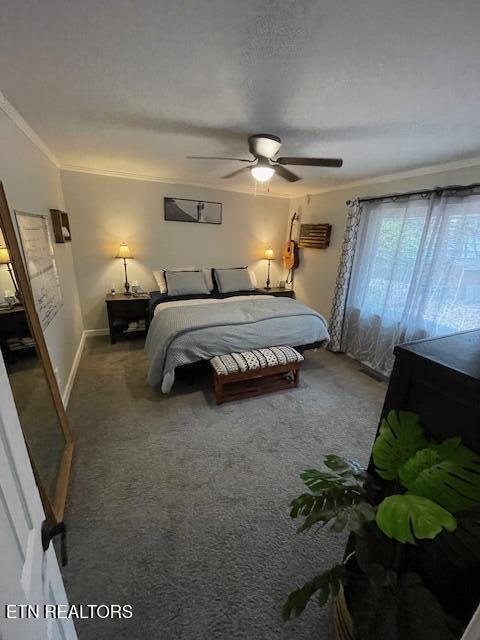 1513 Blackwood Drive Knoxville TN 37923