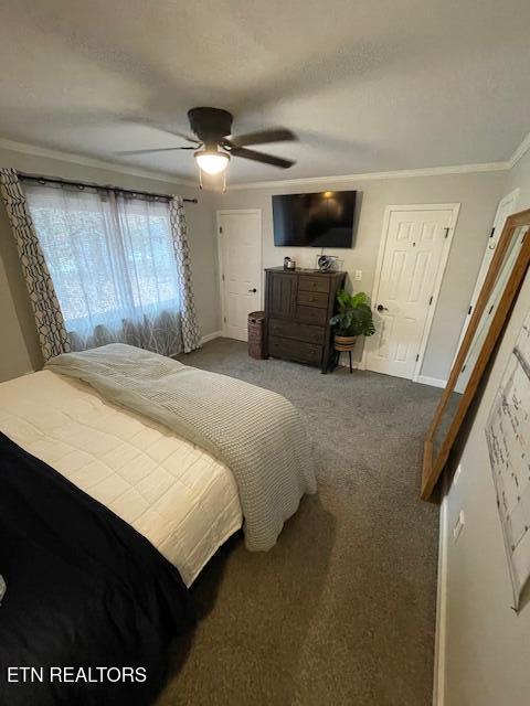 1513 Blackwood Drive Knoxville TN 37923