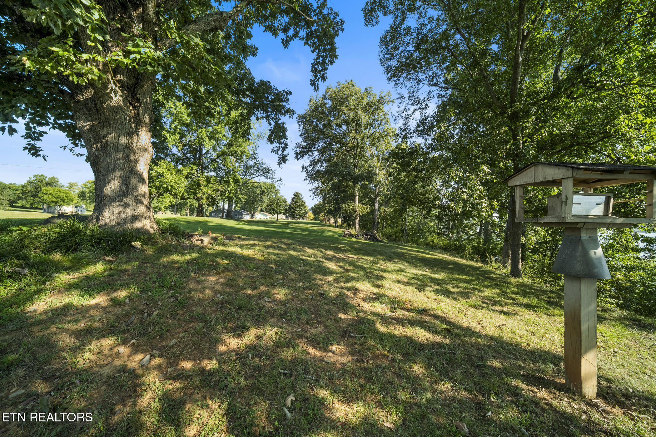 3541 E Atherton Lane Baneberry TN 37890