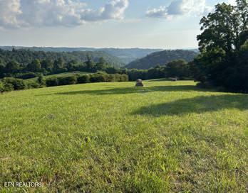 323 Beech Hollow Road Harrogate TN 37752