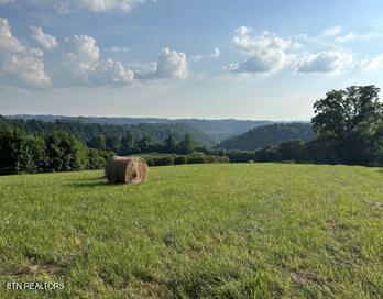 323 Beech Hollow Road Harrogate TN 37752