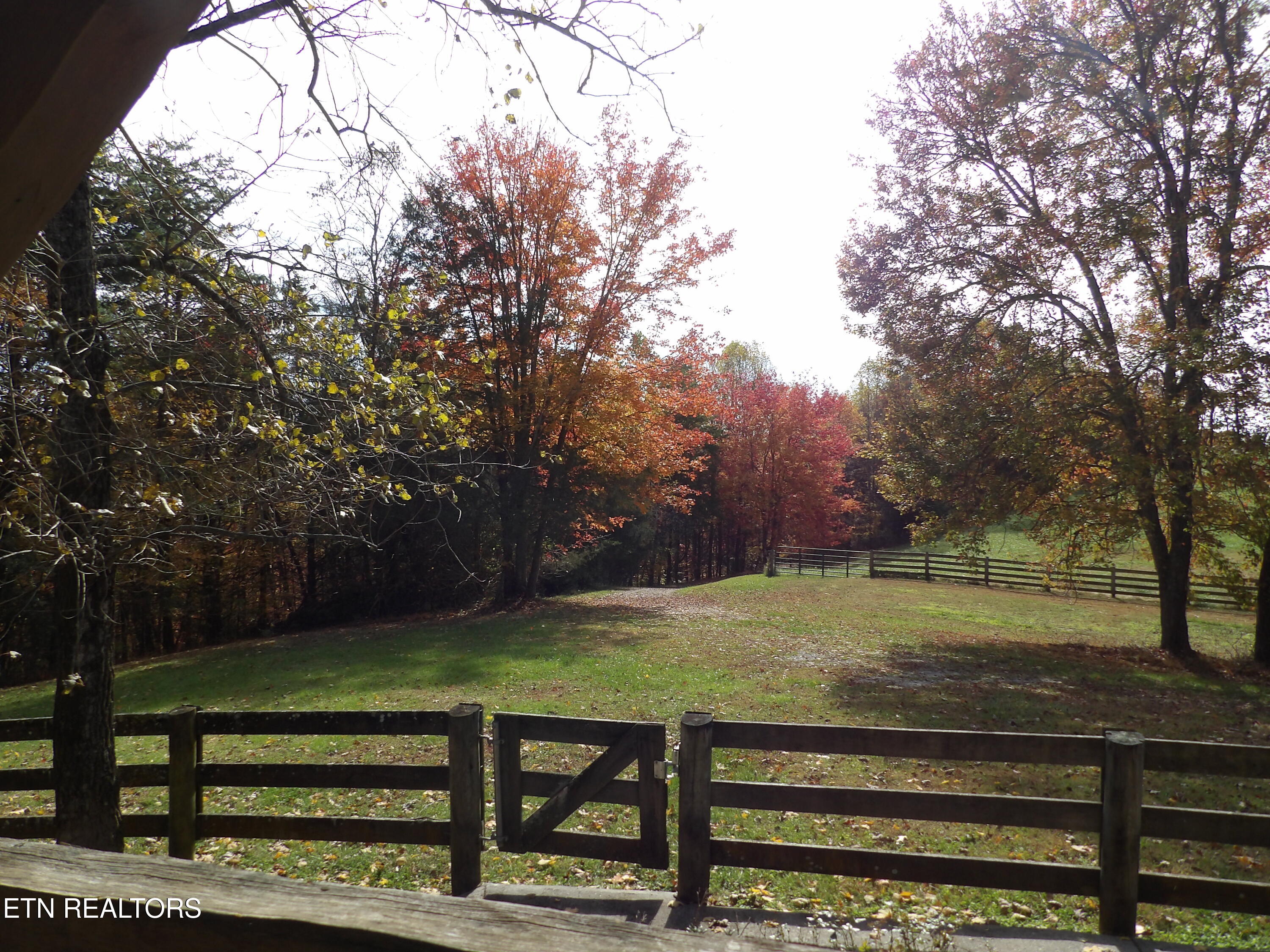 323 Beech Hollow Road Harrogate TN 37752