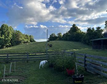 323 Beech Hollow Road Harrogate TN 37752