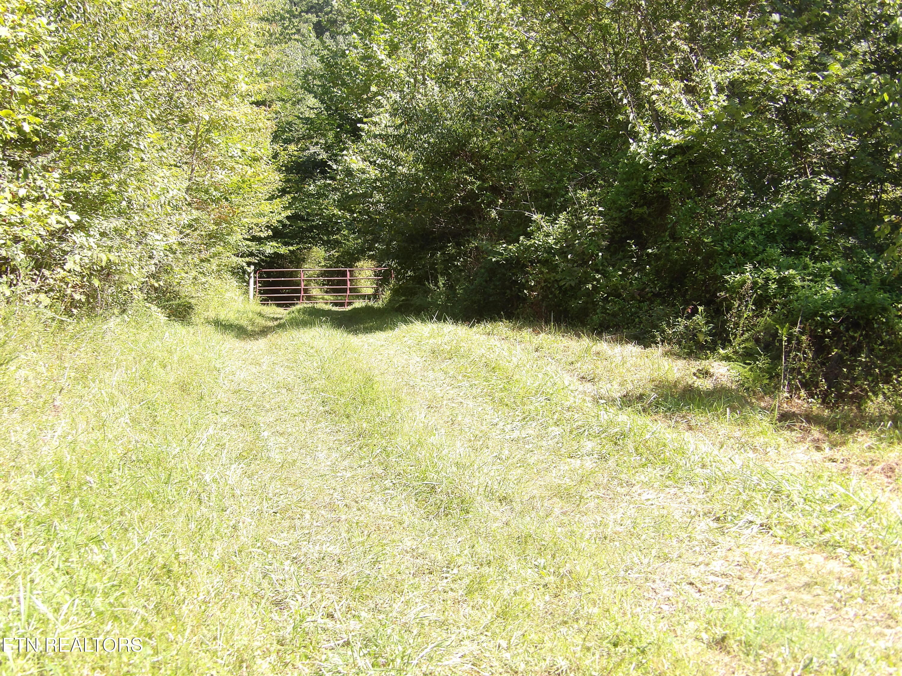 323 Beech Hollow Road Harrogate TN 37752