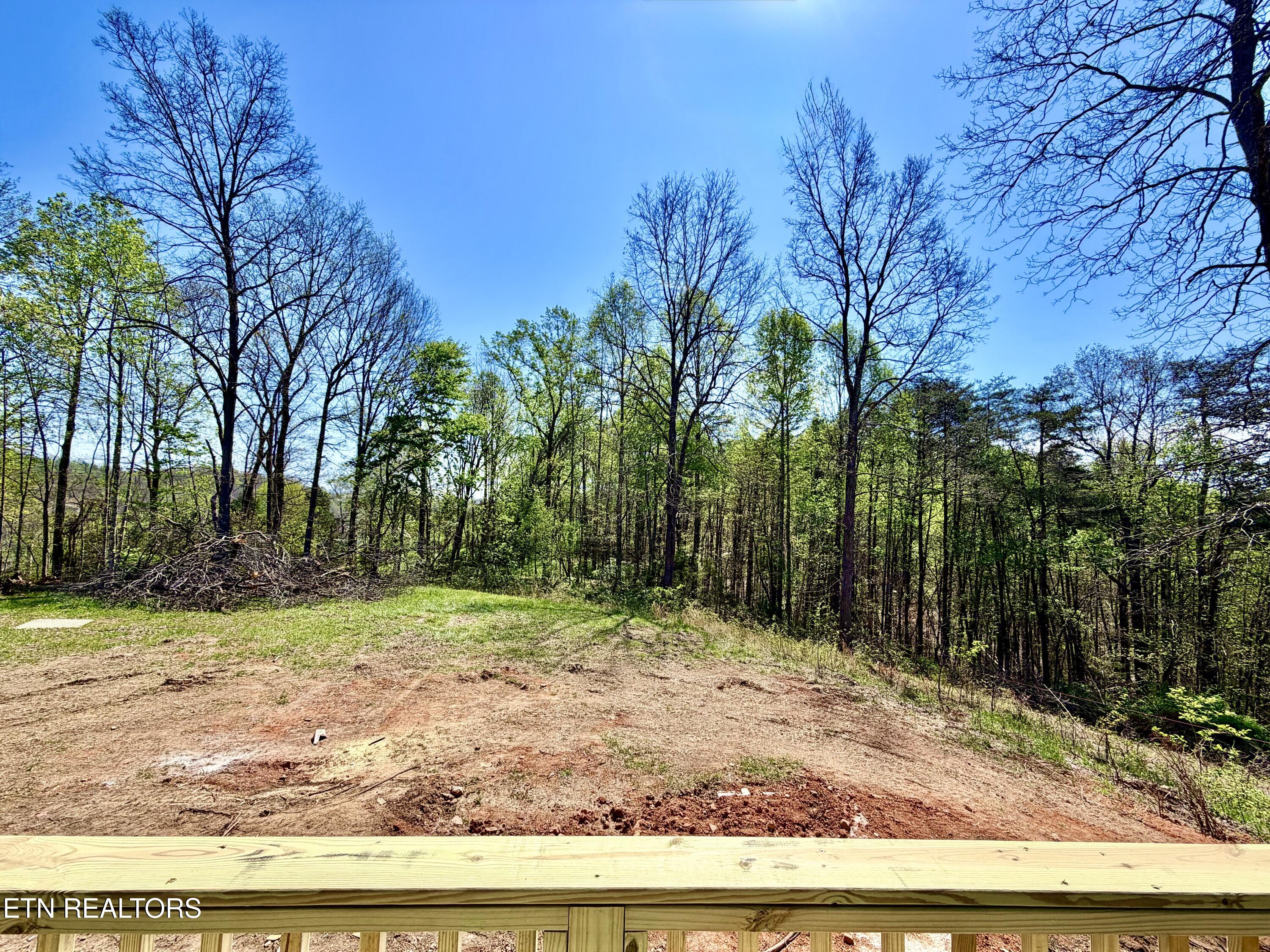 102 Serrento Lane New Tazewell TN 37825