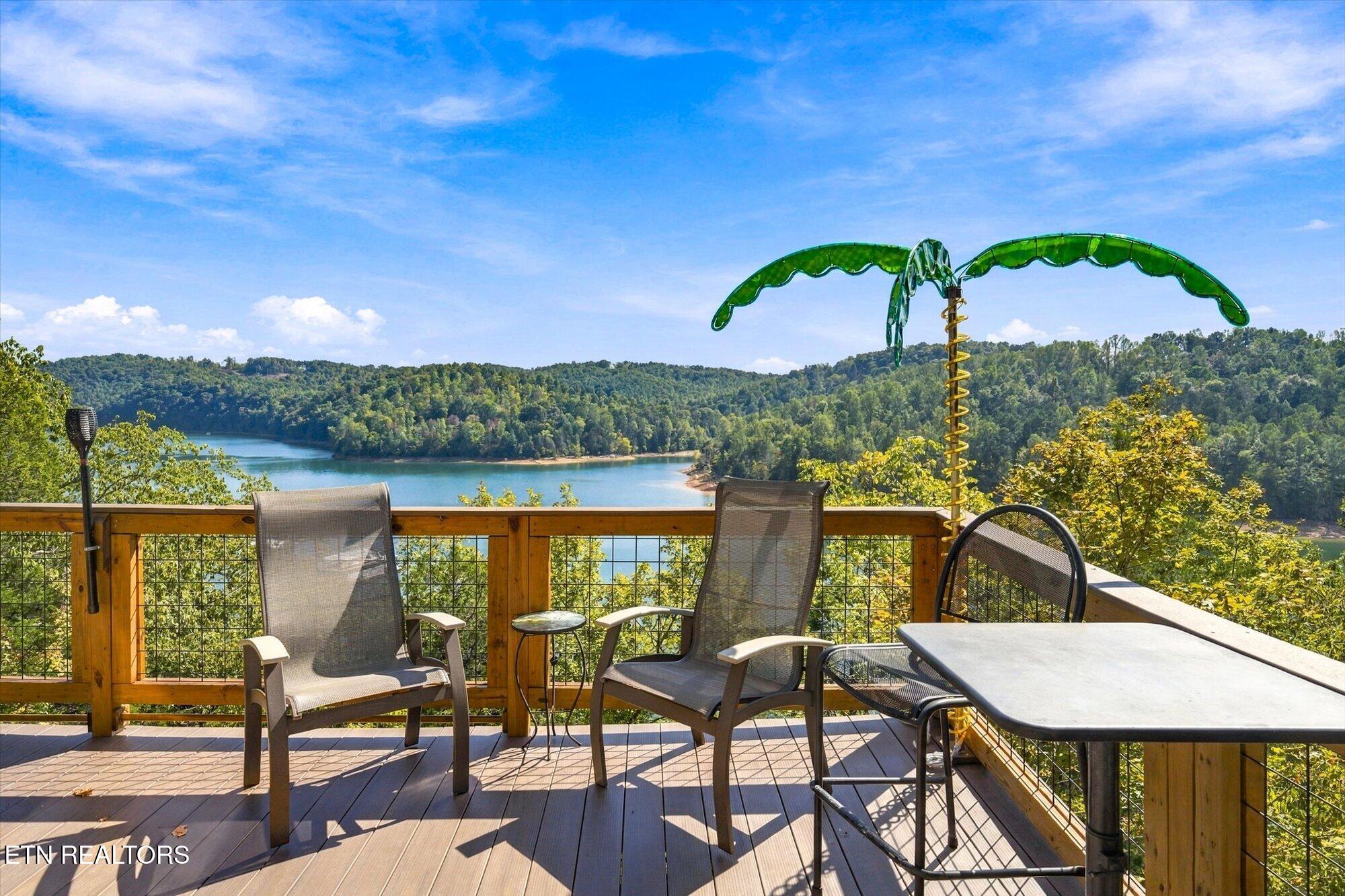 869 Flat Hollow Marina Road Speedwell TN 37870