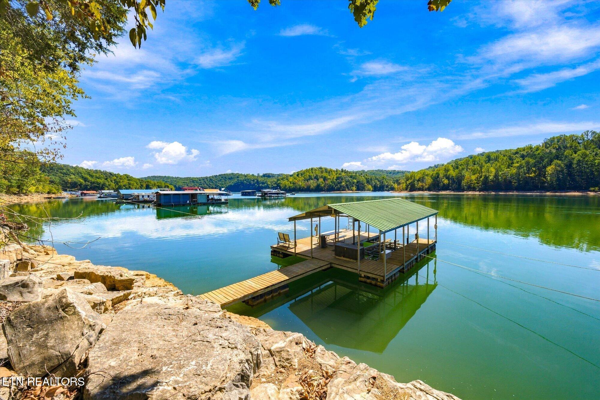 869 Flat Hollow Marina Road Speedwell TN 37870