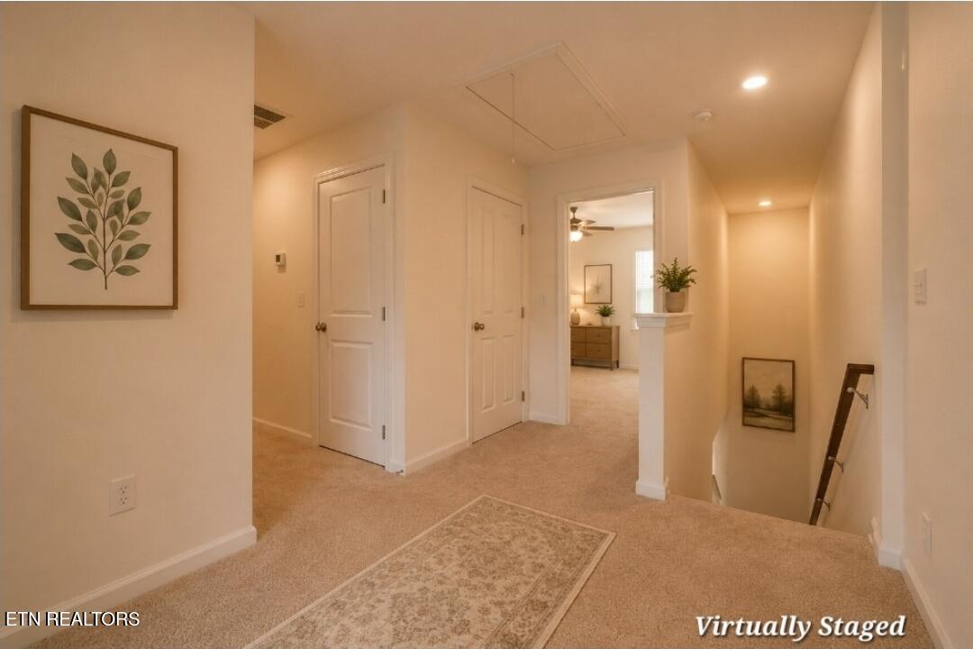 3113 Berna Way Morristown TN 37814
