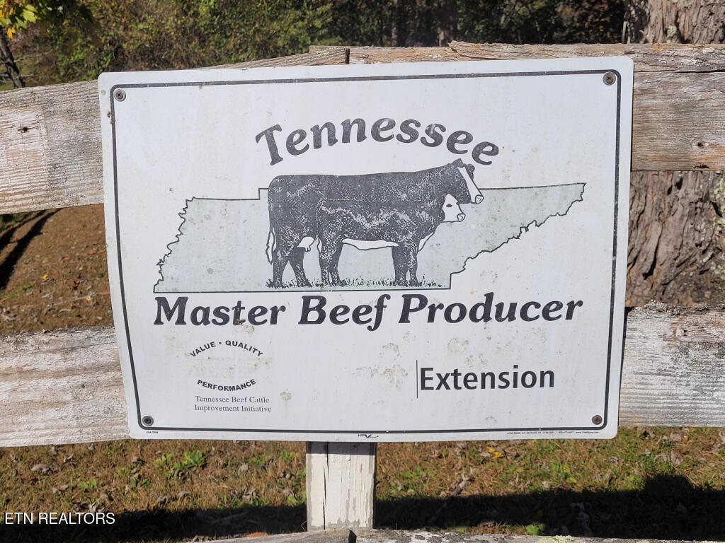 3381 Upper Caney Valley Road Tazewell TN 37879