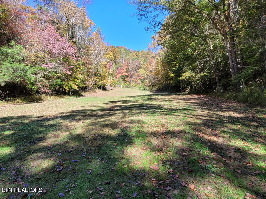 3381 Upper Caney Valley Road Tazewell TN 37879