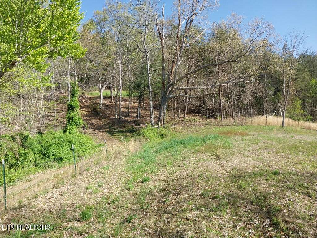 3381 Upper Caney Valley Road Tazewell TN 37879