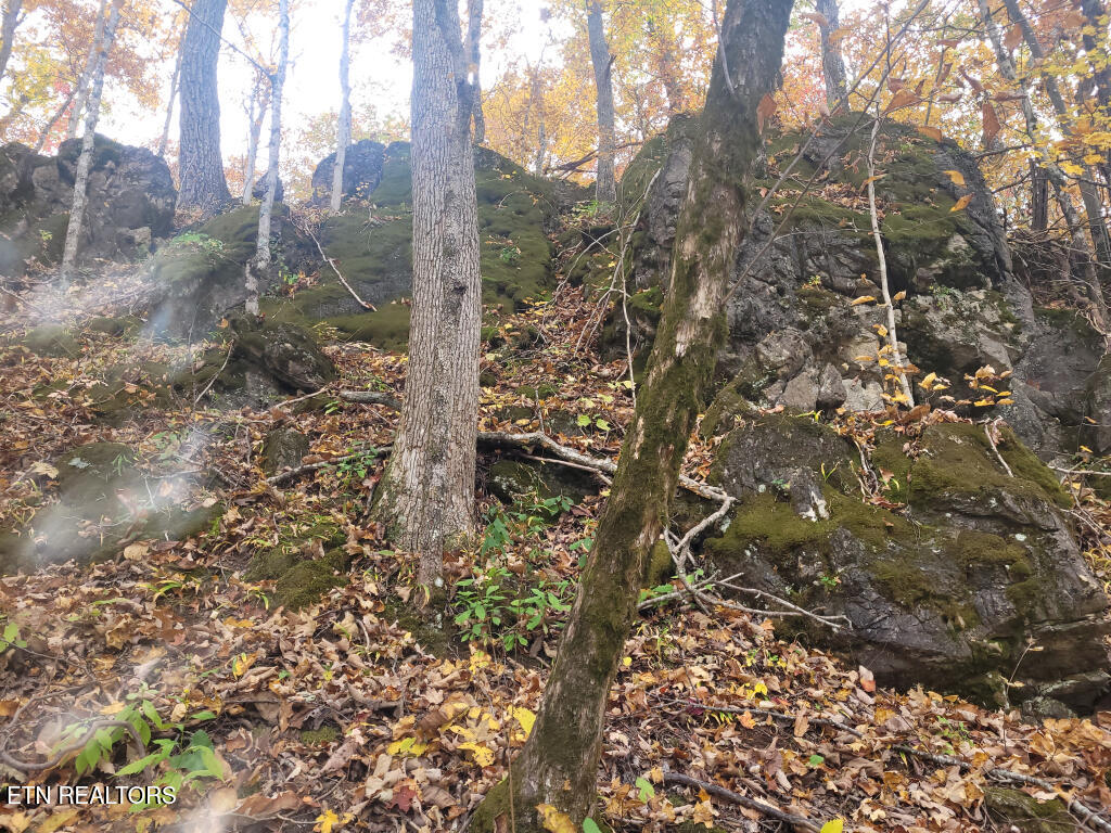 3381 Upper Caney Valley Road Tazewell TN 37879