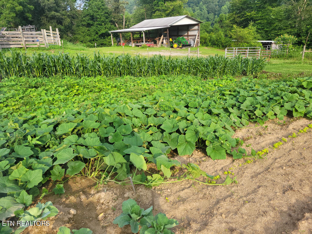3381 Upper Caney Valley Road Tazewell TN 37879