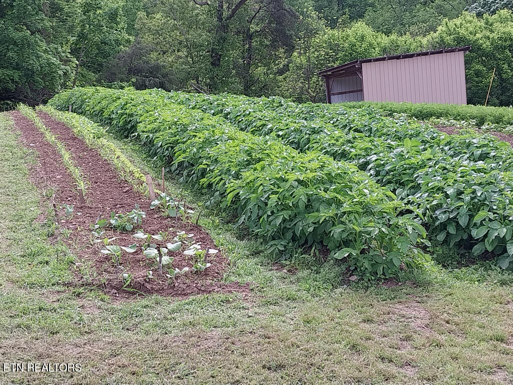 3381 Upper Caney Valley Road Tazewell TN 37879