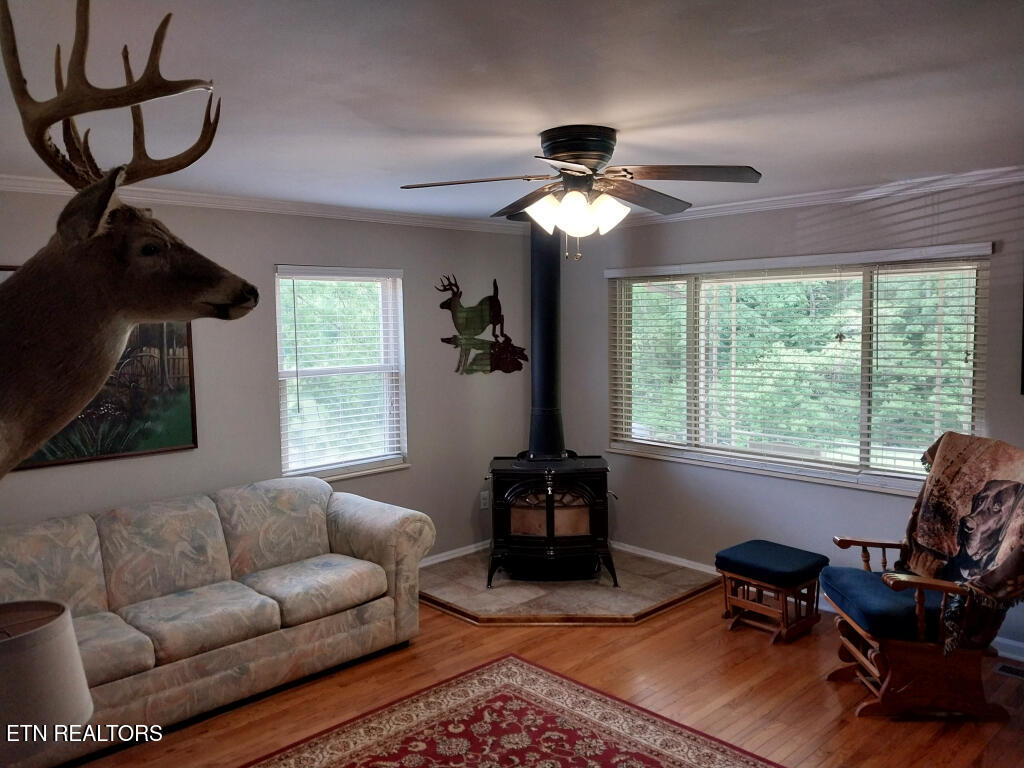3381 Upper Caney Valley Road Tazewell TN 37879