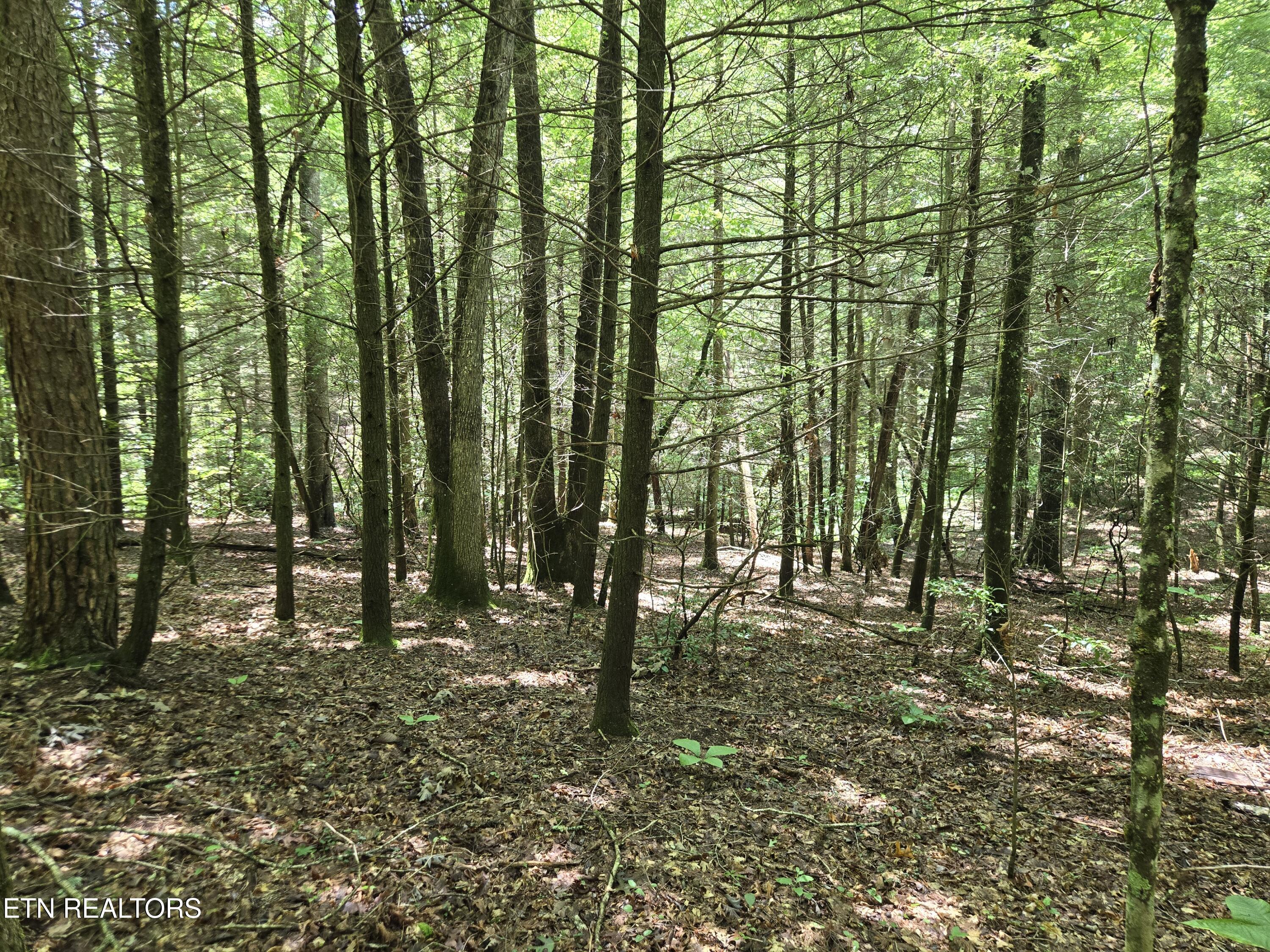 523 General Lane Jamestown TN 38556